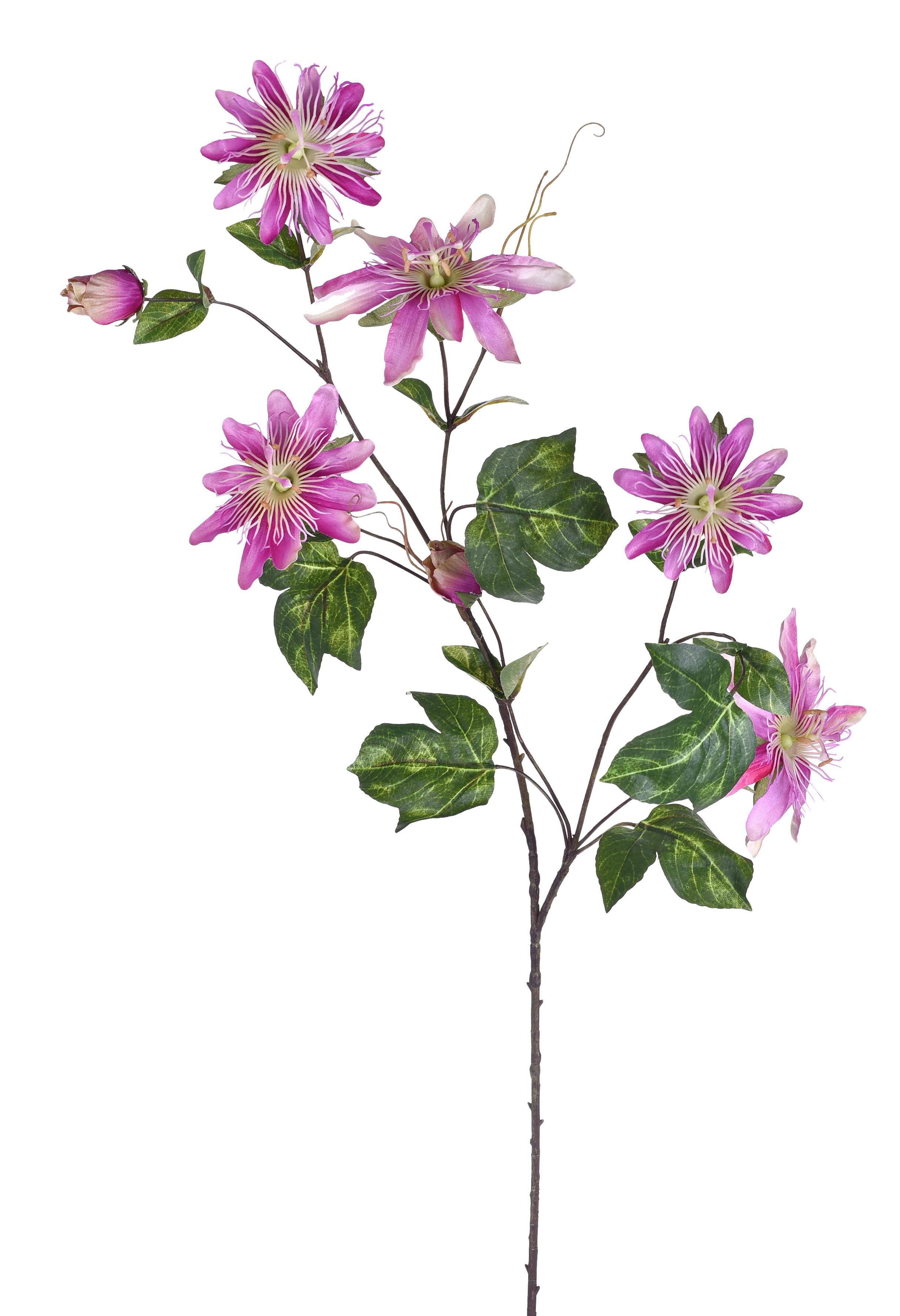 PASSIFLORA 94 CM