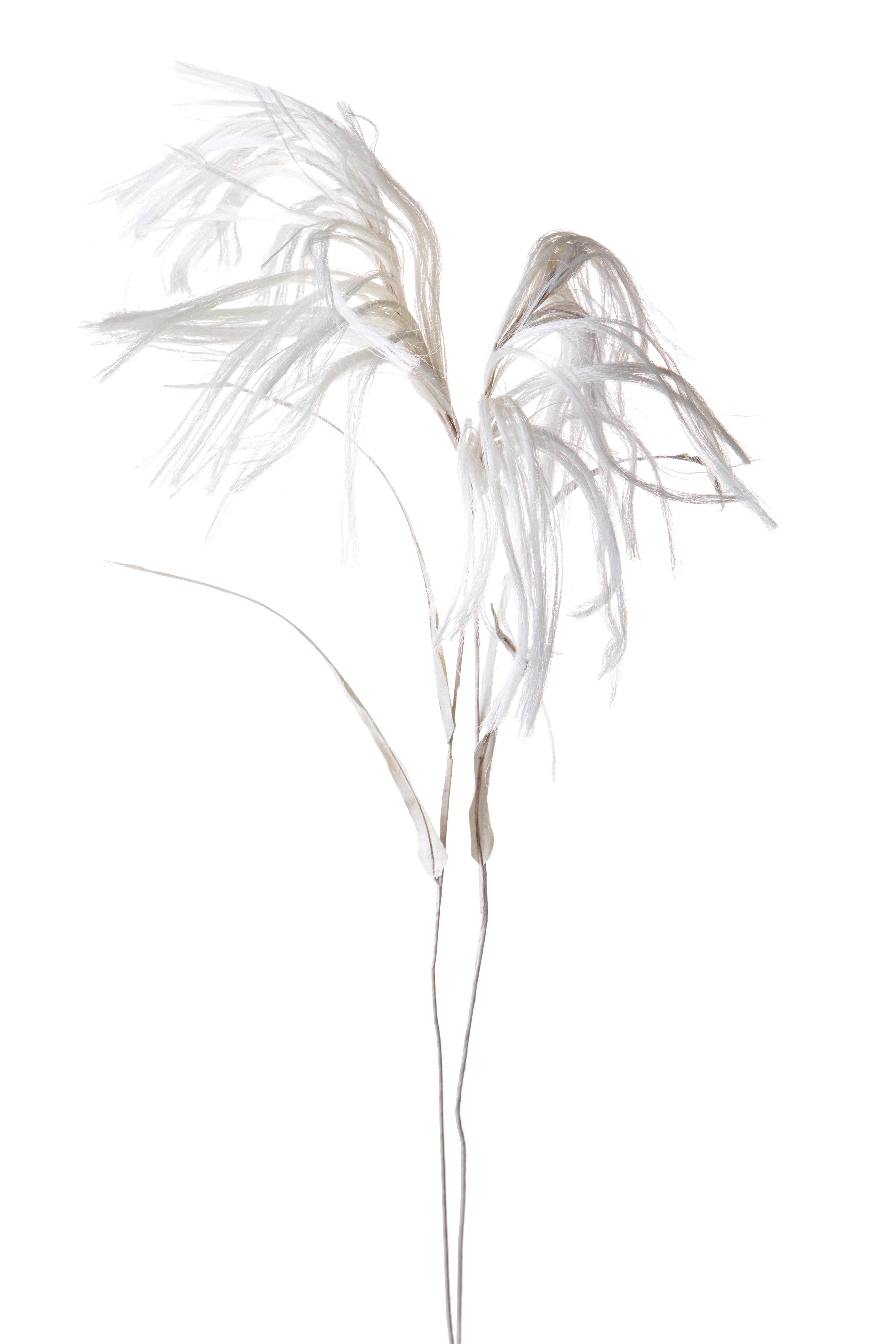 FIORI ARTIFICIALI, FIORI VARI a ramo, PIUMA C/STELO CARTA H.85 CM****SC