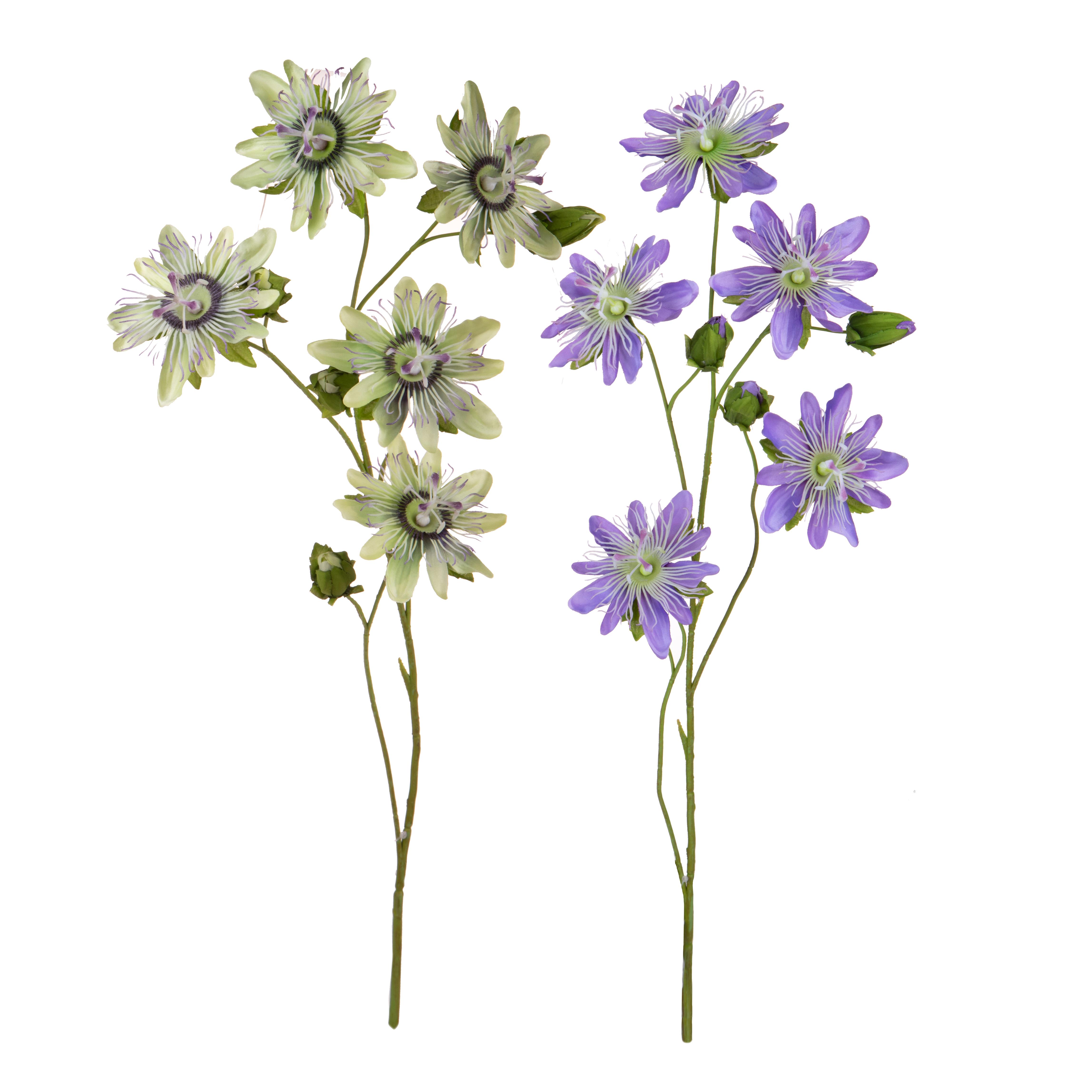 PASSIFLORA 103 CM