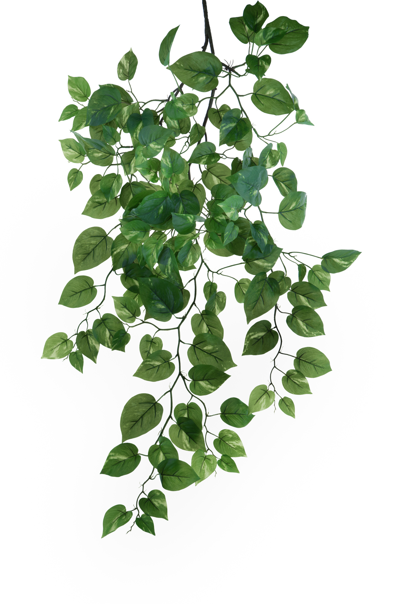 RAMPICANTE 107 CM POTHOS