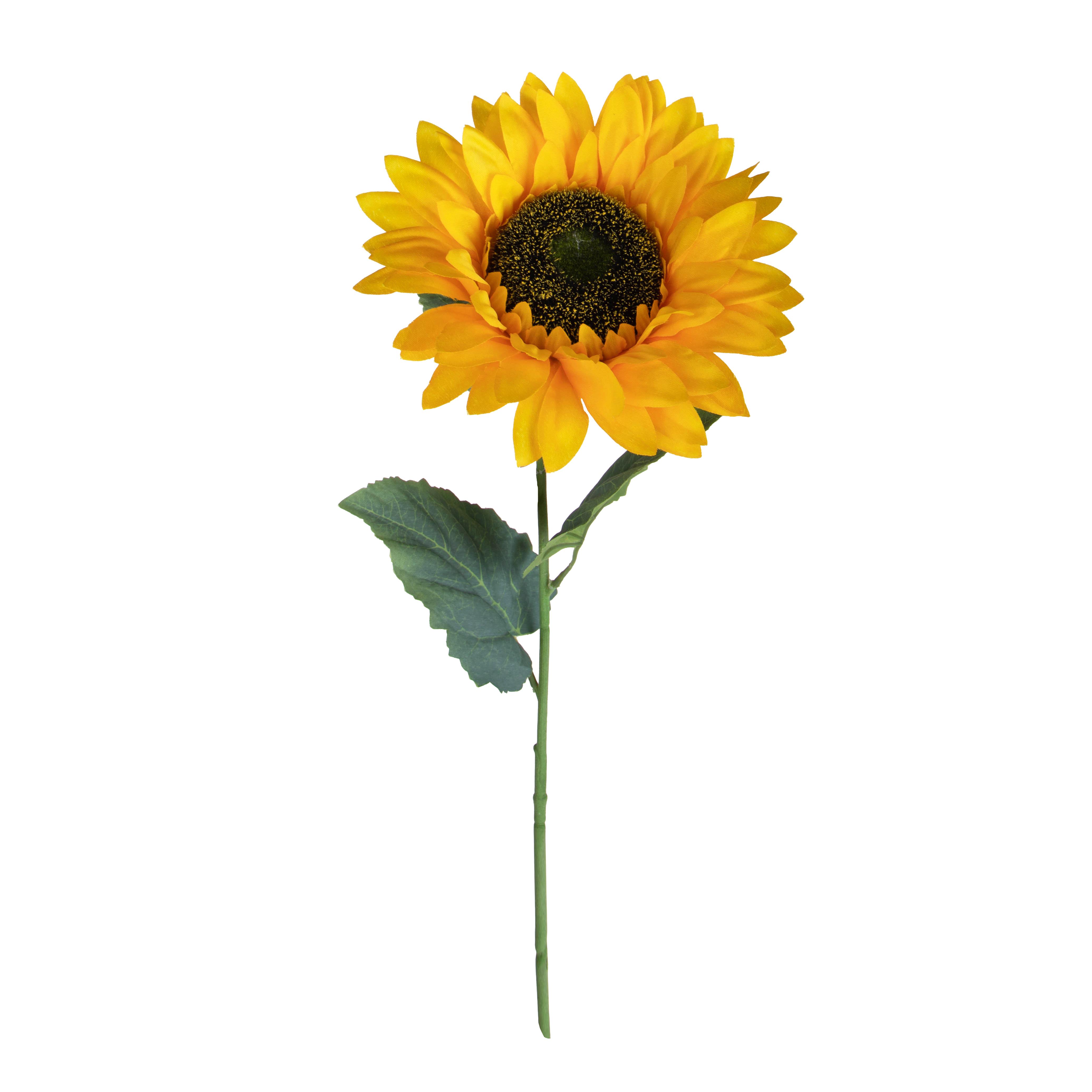 GIRASOLE X 1 75 CM