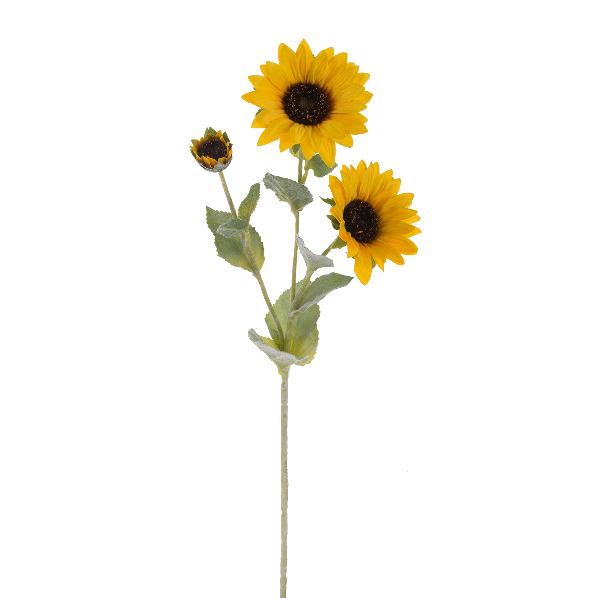 CHRISTMAS ITEMS,DRIED FLOWERS AND STEM ITEMS FOR CHRISTMAS,GIRASOLE X 3 63,5 CM