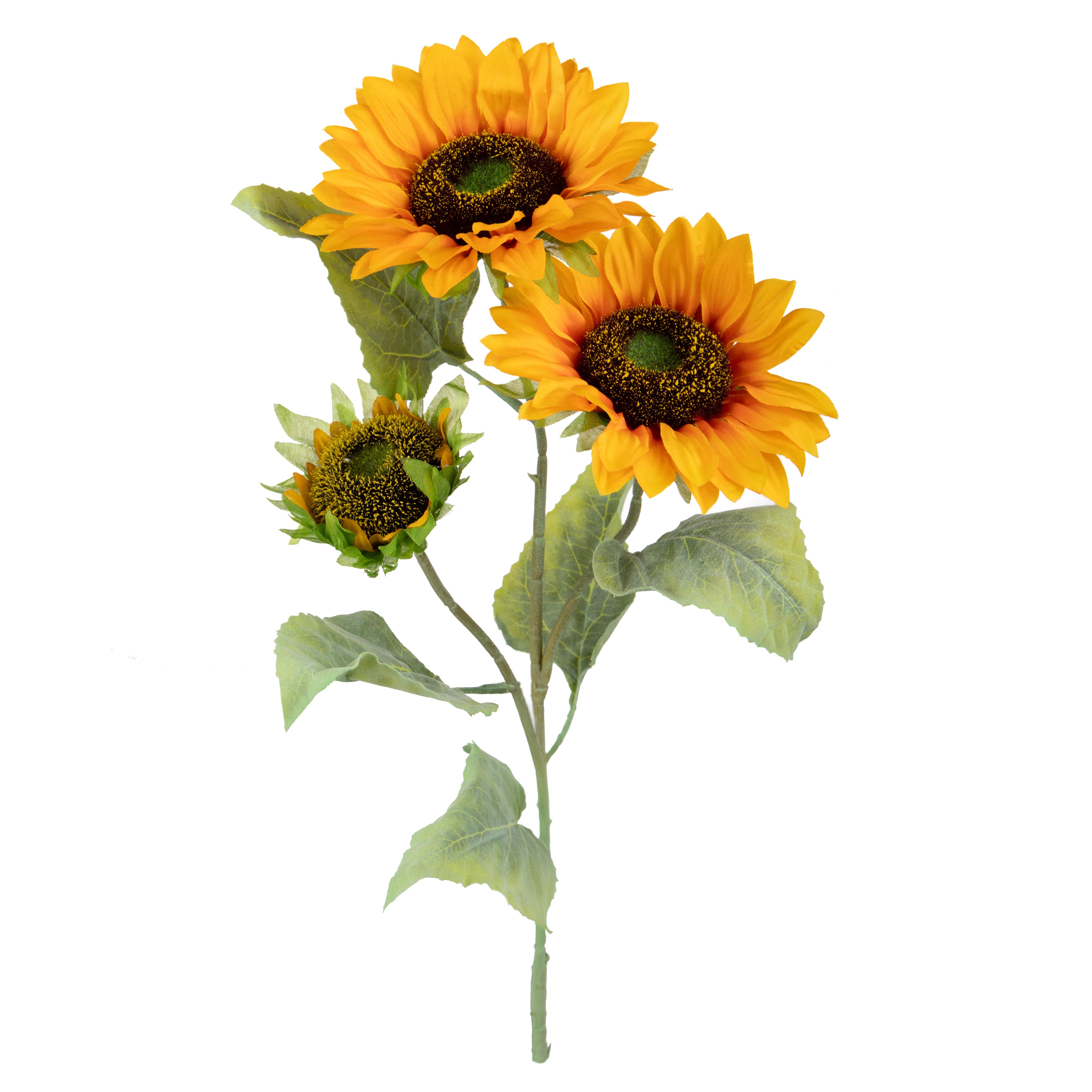 GIRASOLE X 3 92 CM