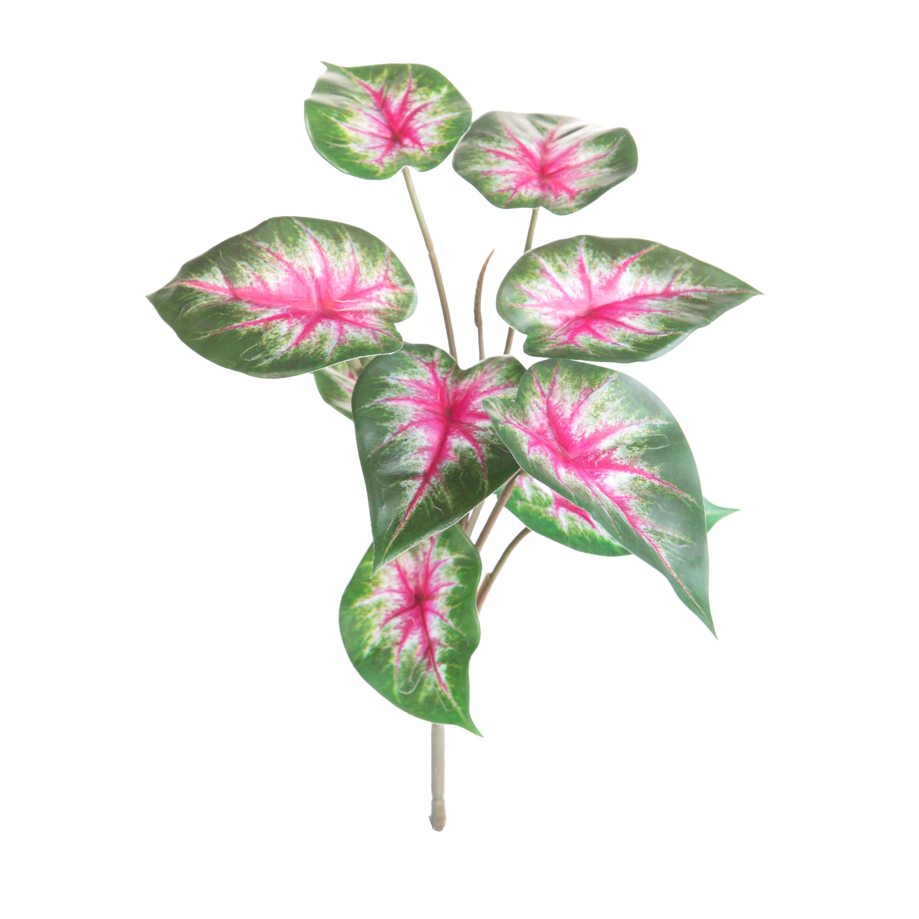 SYNGONIUM 31 CM X 9 REAL TOUCH