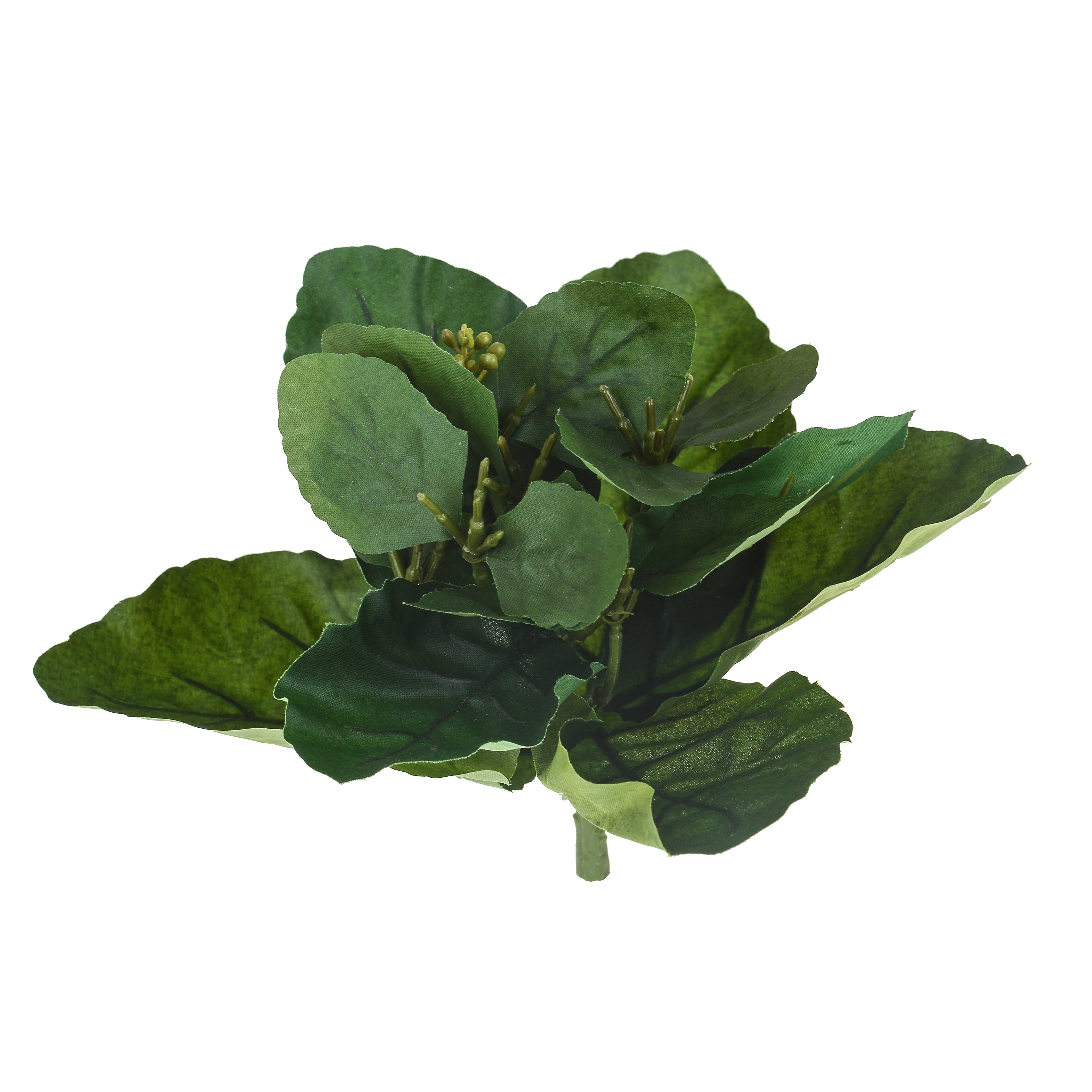 PIANTA VERDE 19X23 CM NO FIORI**SC