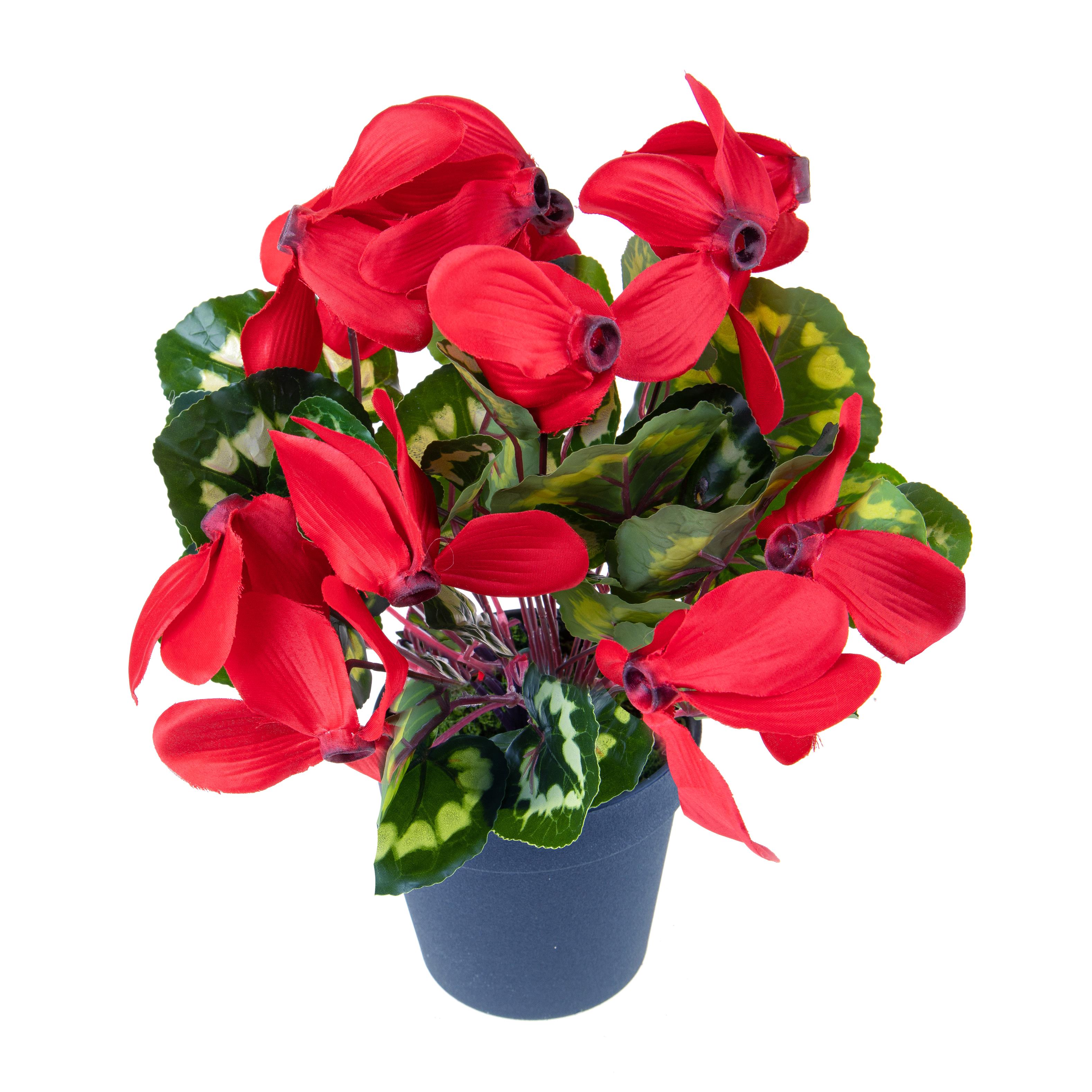 Fleurs artificielles, Plantes fleuries en vase, CICLAMINO C/VASO H.32 CM