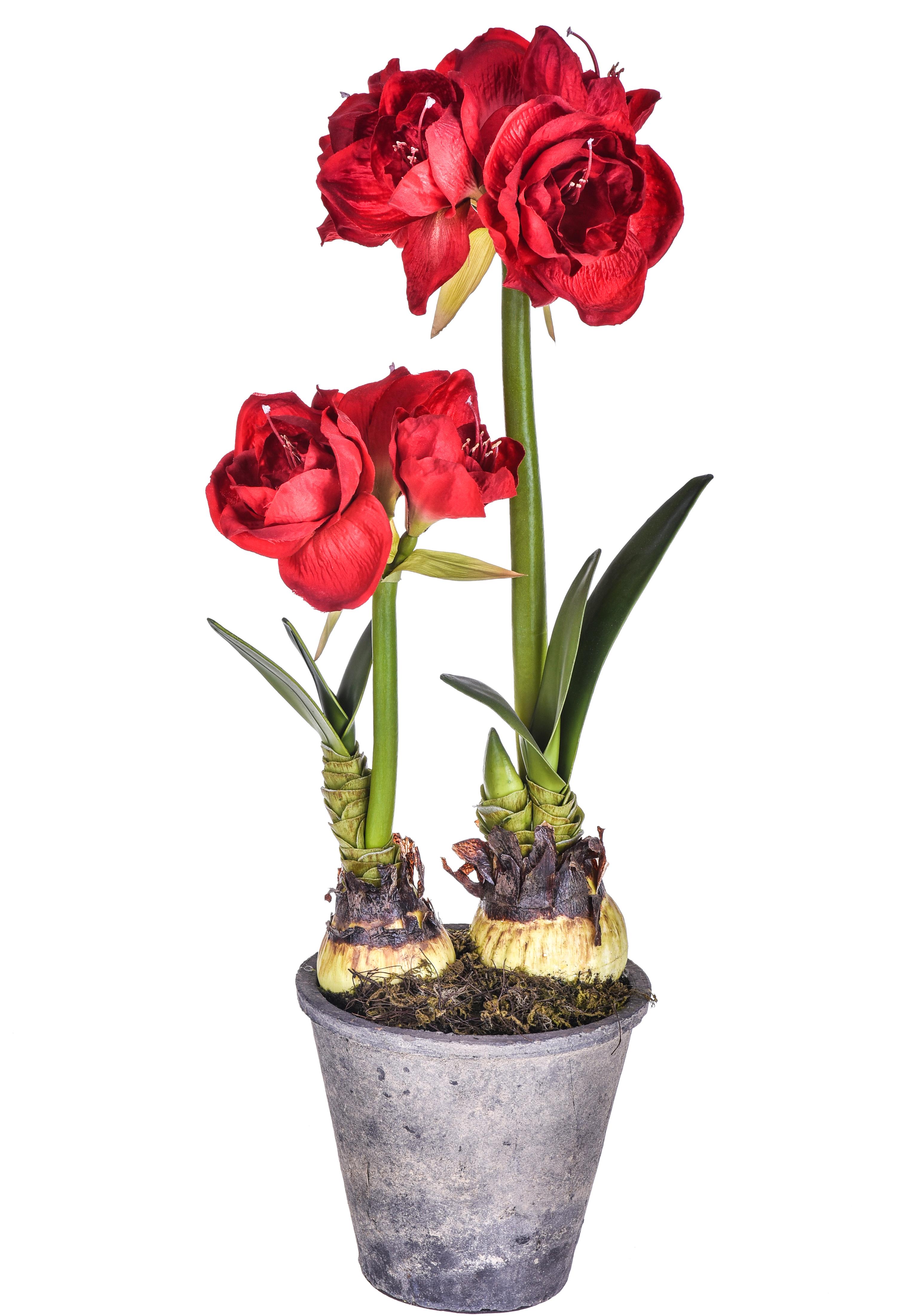 Fleurs artificielles, Plantes fleuries en vase, AMARILLIS DOPPIO 68 CM C/VASO