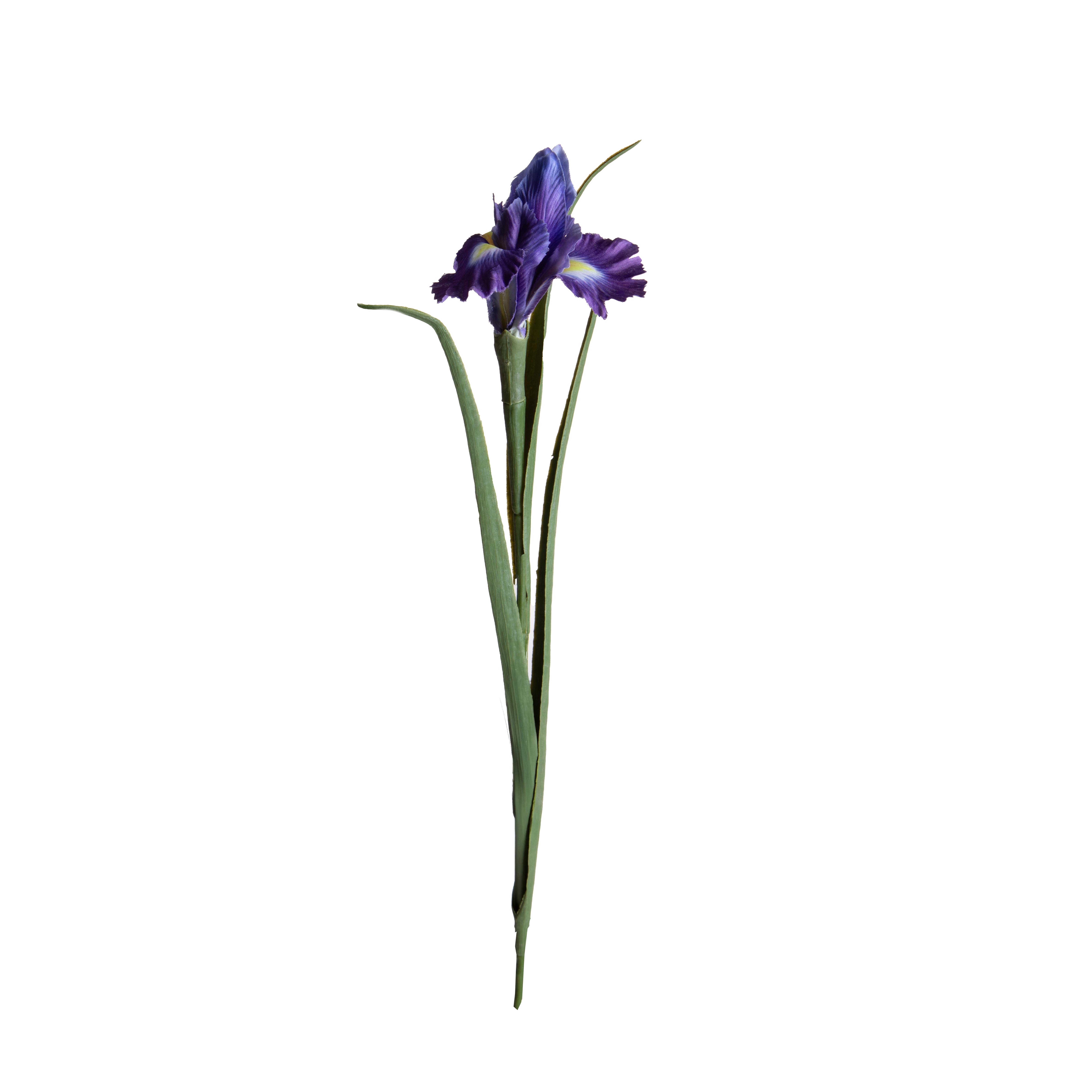 FIORI ARTIFICIALI,FIORI IN FOAM E CARTA,IRIS 70 CM SINGOLO
