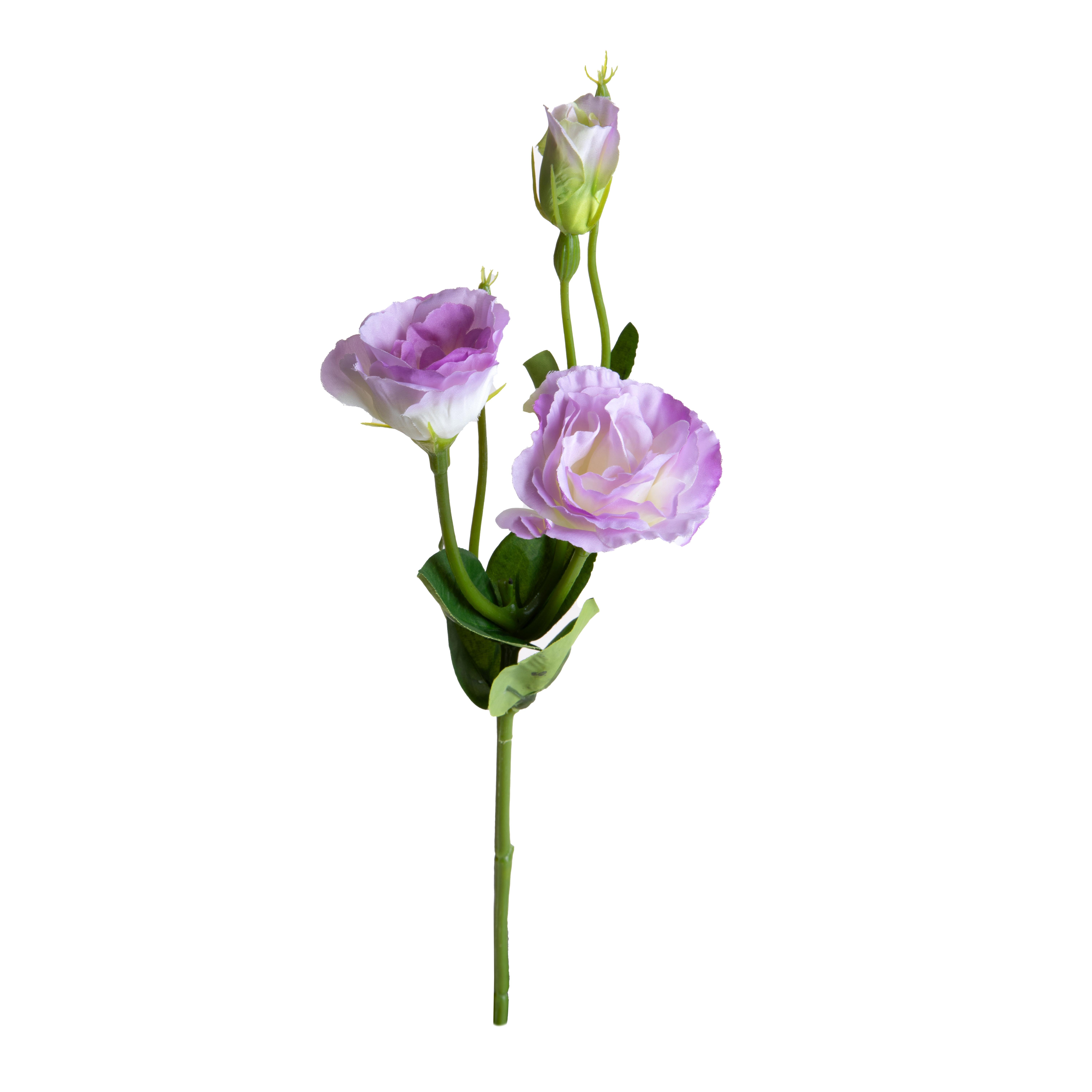 LISIANTHUS H.43 CM 2 FIORI/1 BOCCIO