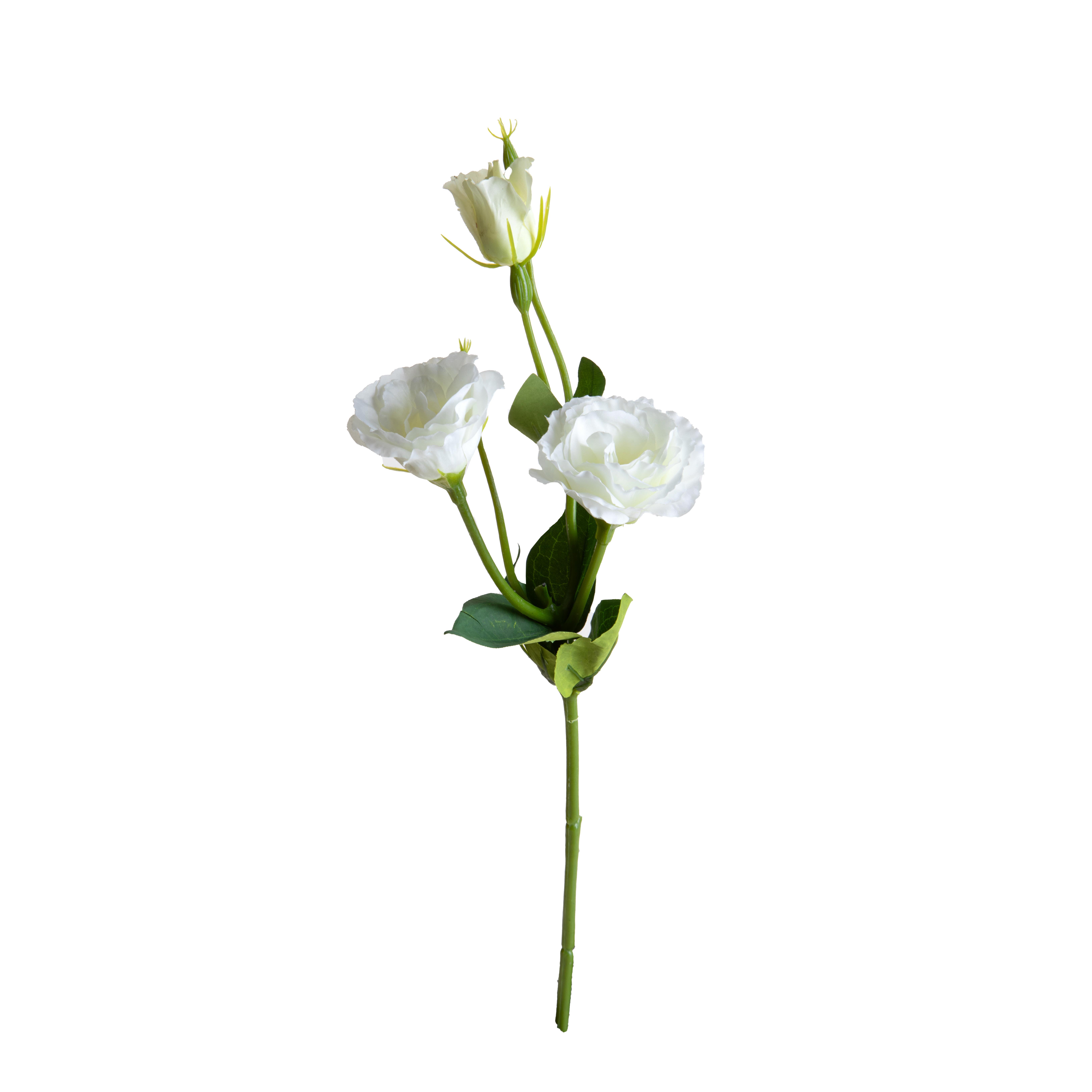 LISIANTHUS H.43 CM 2 FIORI/1 BOCCIO