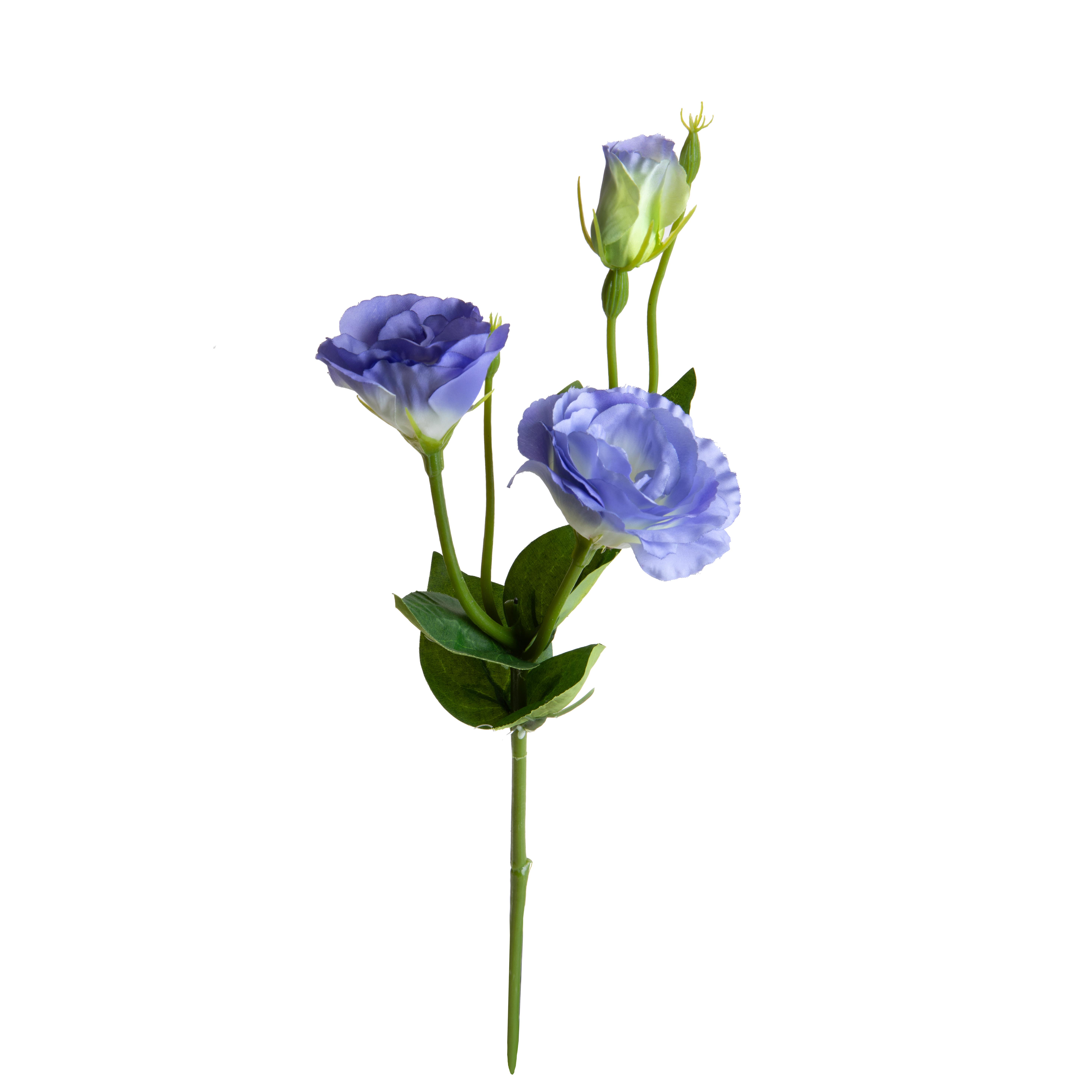 LISIANTHUS H.43 CM 2 FIORI/1 BOCCIO