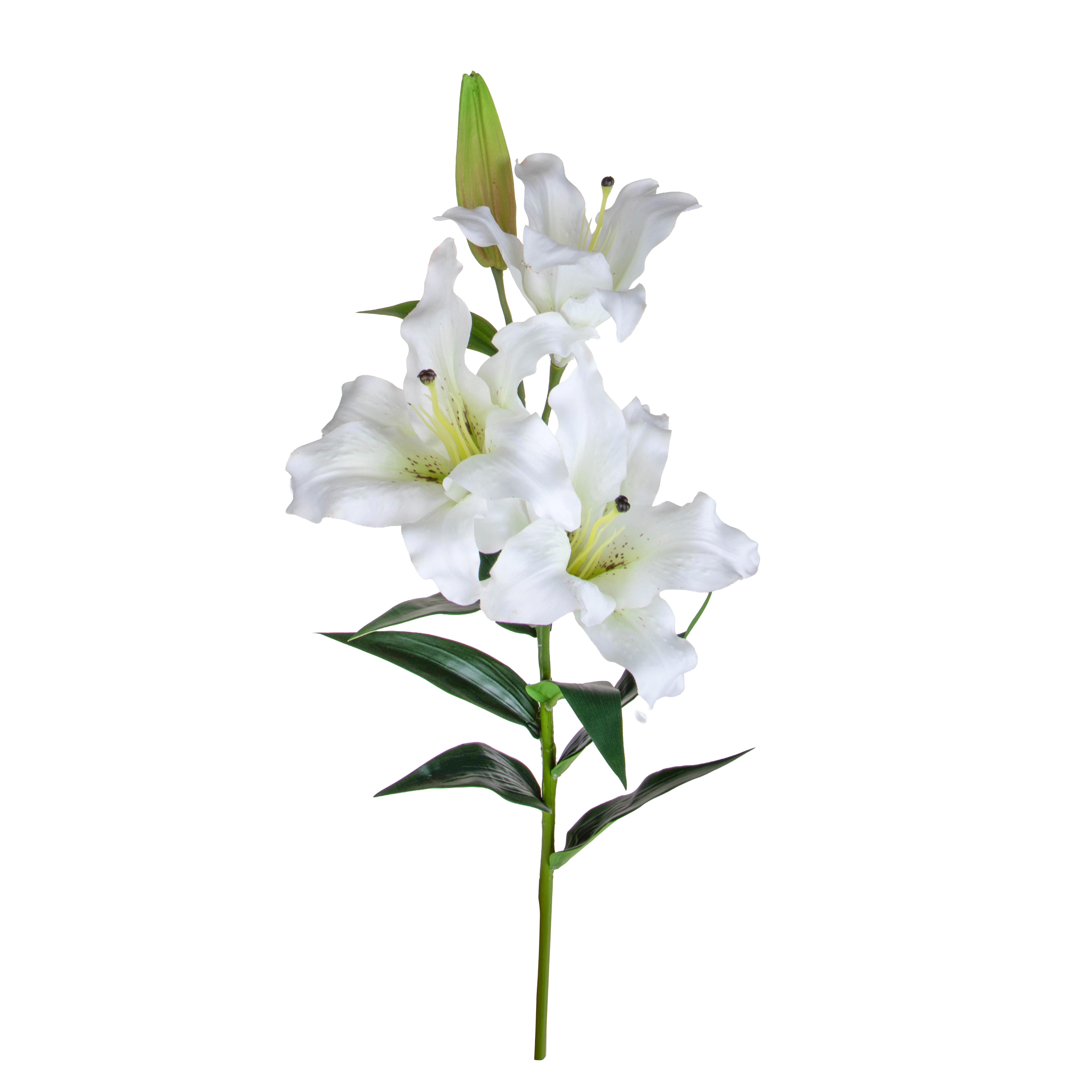 LILIUM X 3 90 CM REAL TOUCH