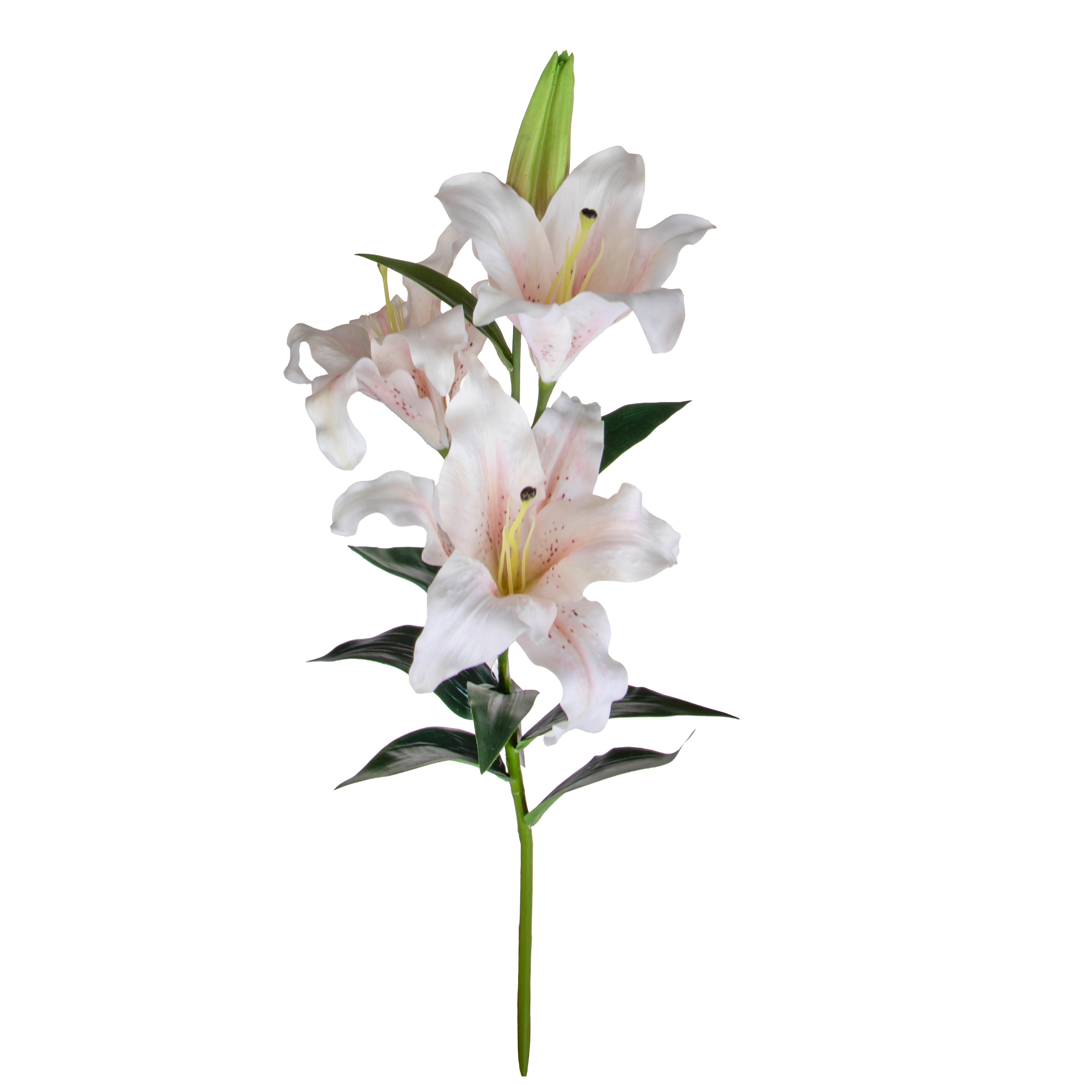 LILIUM X 3 90 CM REAL TOUCH