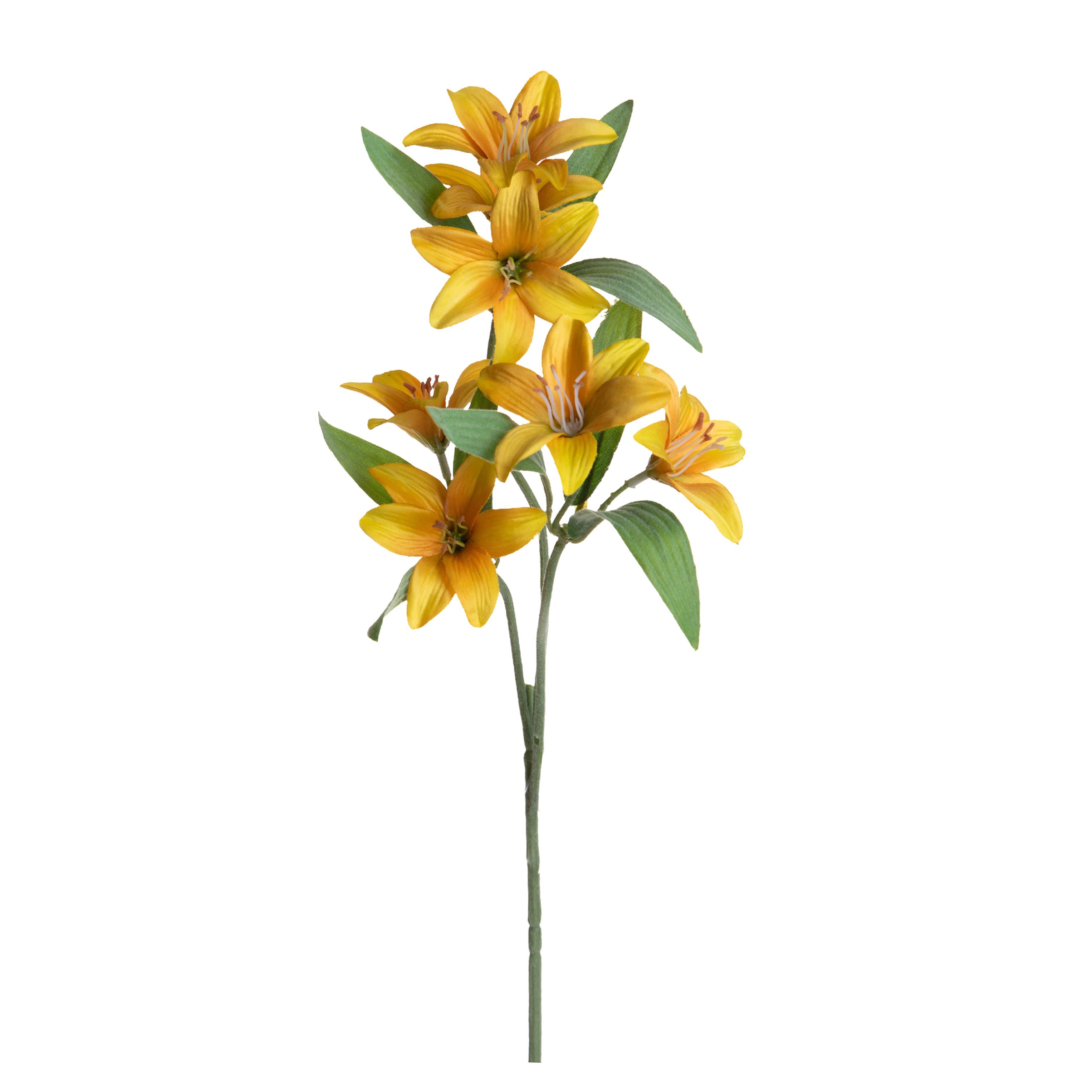 LILIUM MINI FLOWER H.56 CM