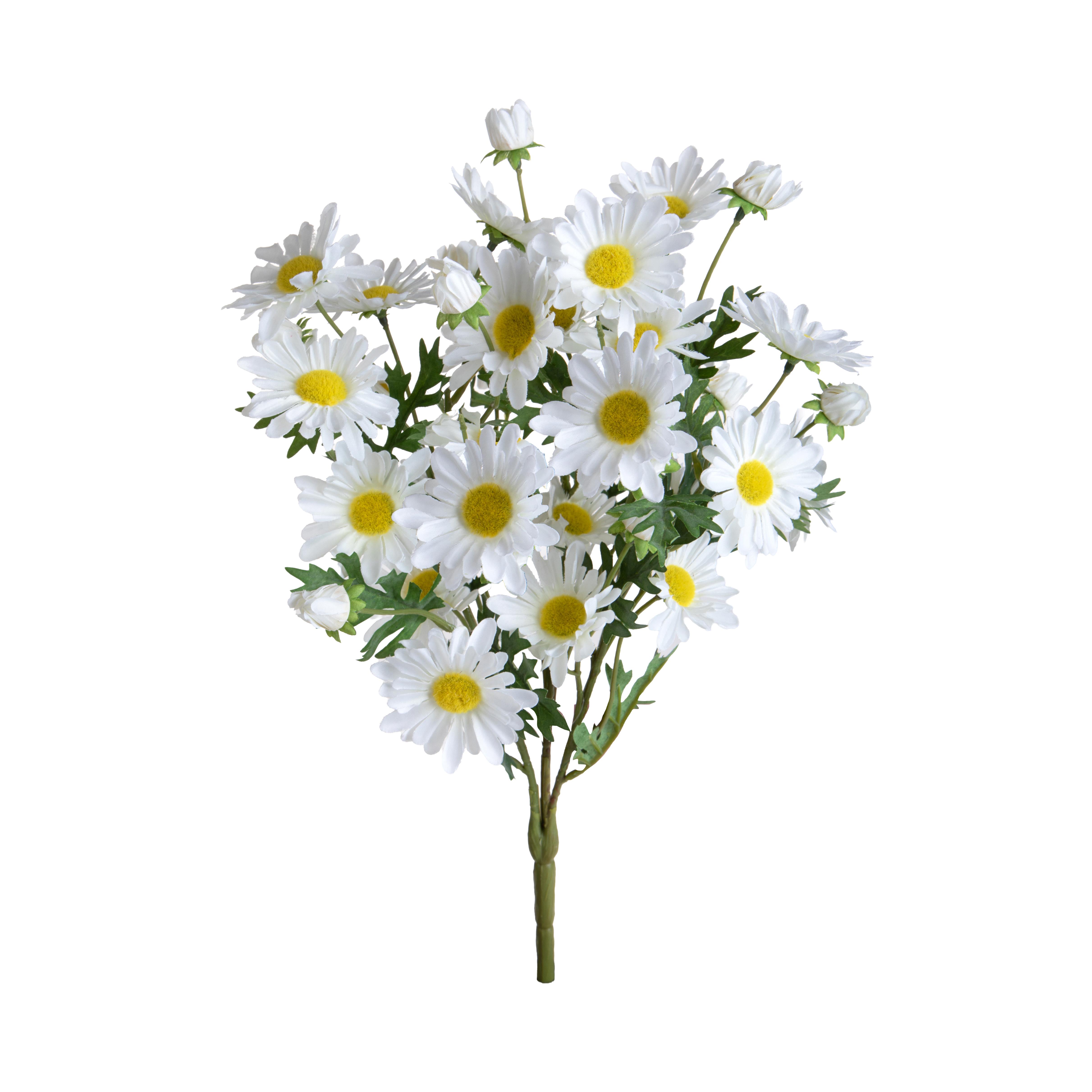 MAZZO MARGHERITE X 24 45 CM