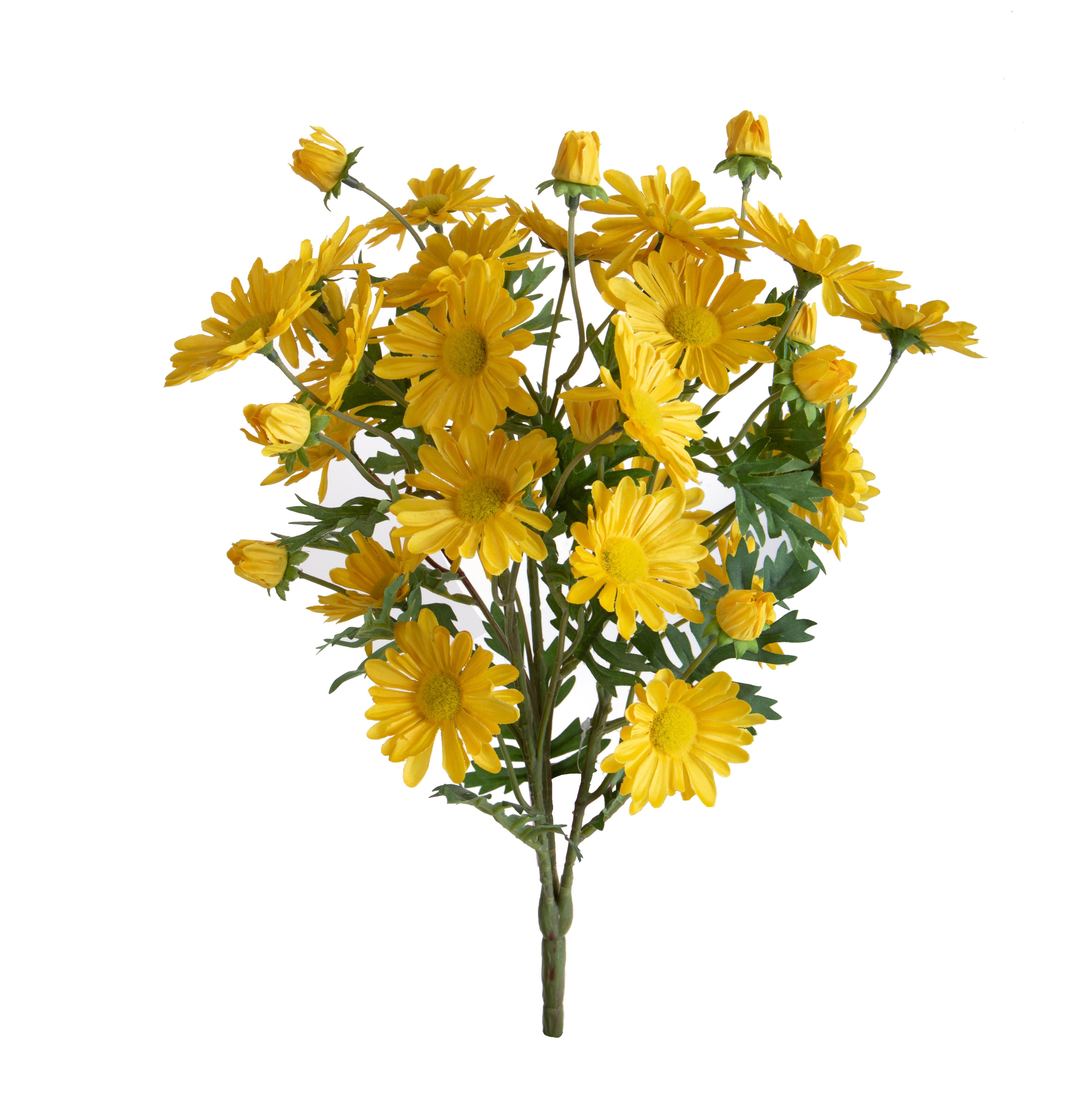 MAZZO MARGHERITE X 24 45 CM