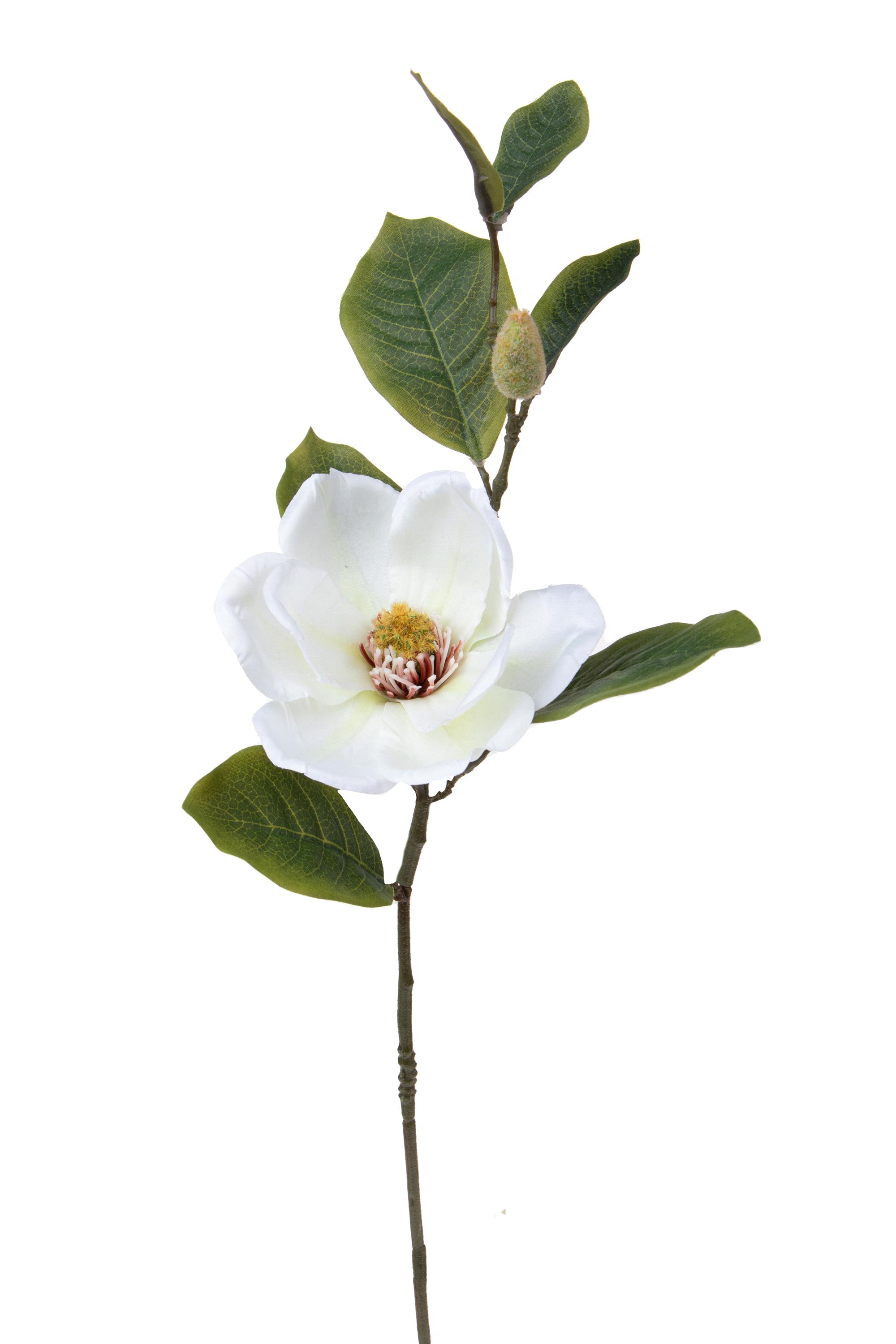 Fleurs artificielles, Magnolia, MAGNOLIA 1+1 H.65 CM