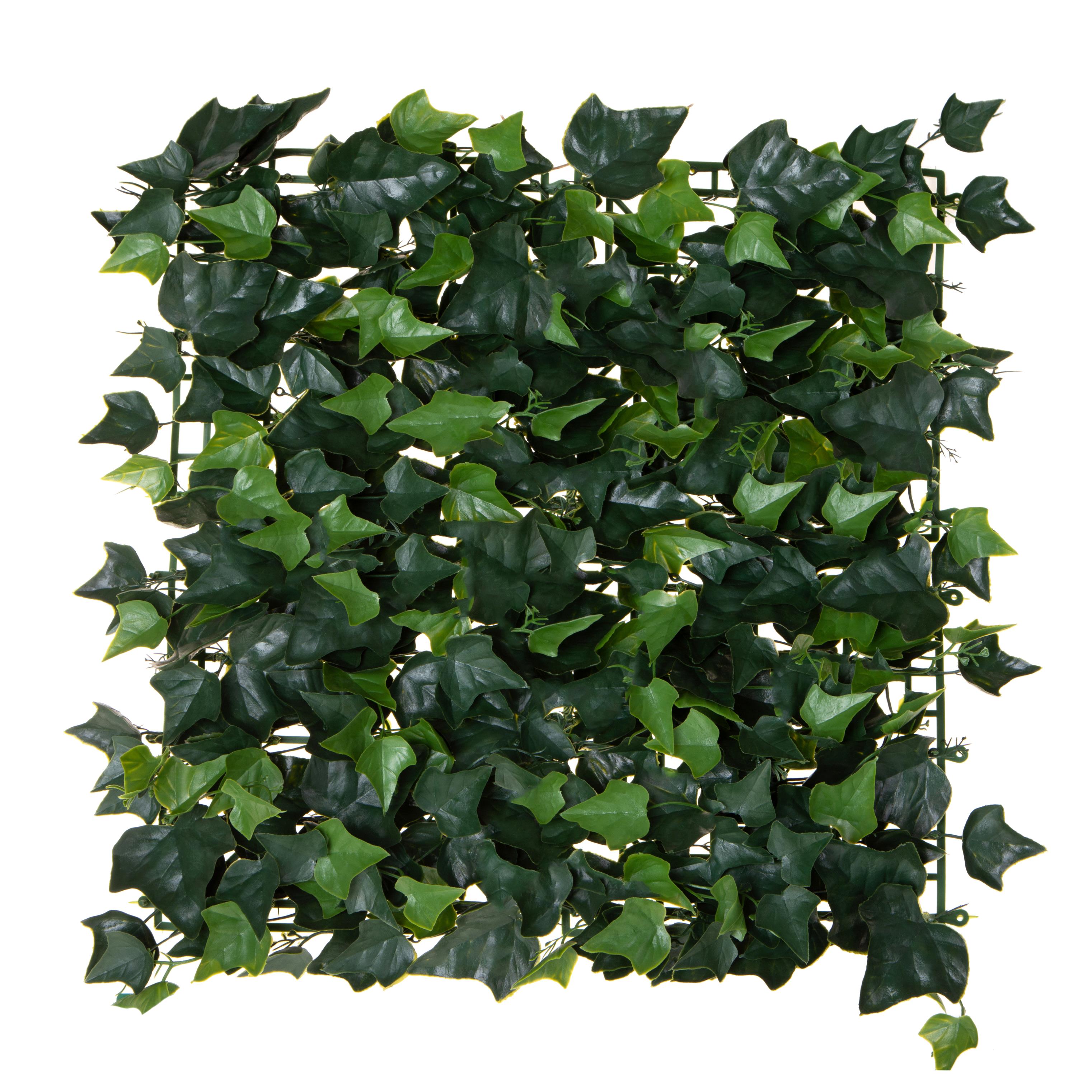 Pflanzen, Rasenfliese, grüne Sphëren, MATTONELLA EDERINA 50X50 CM