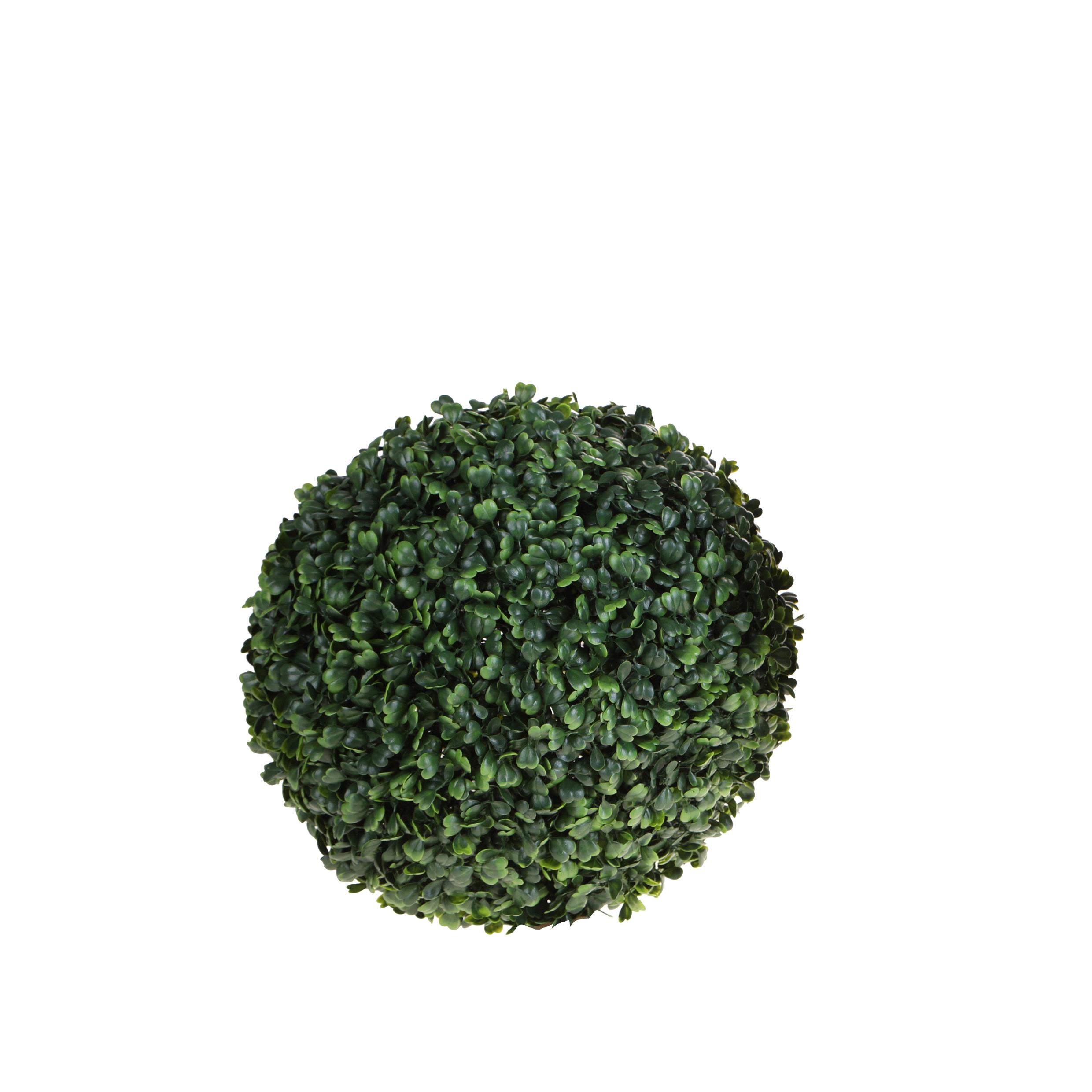 SFERA D.30 CM DICHONDRA