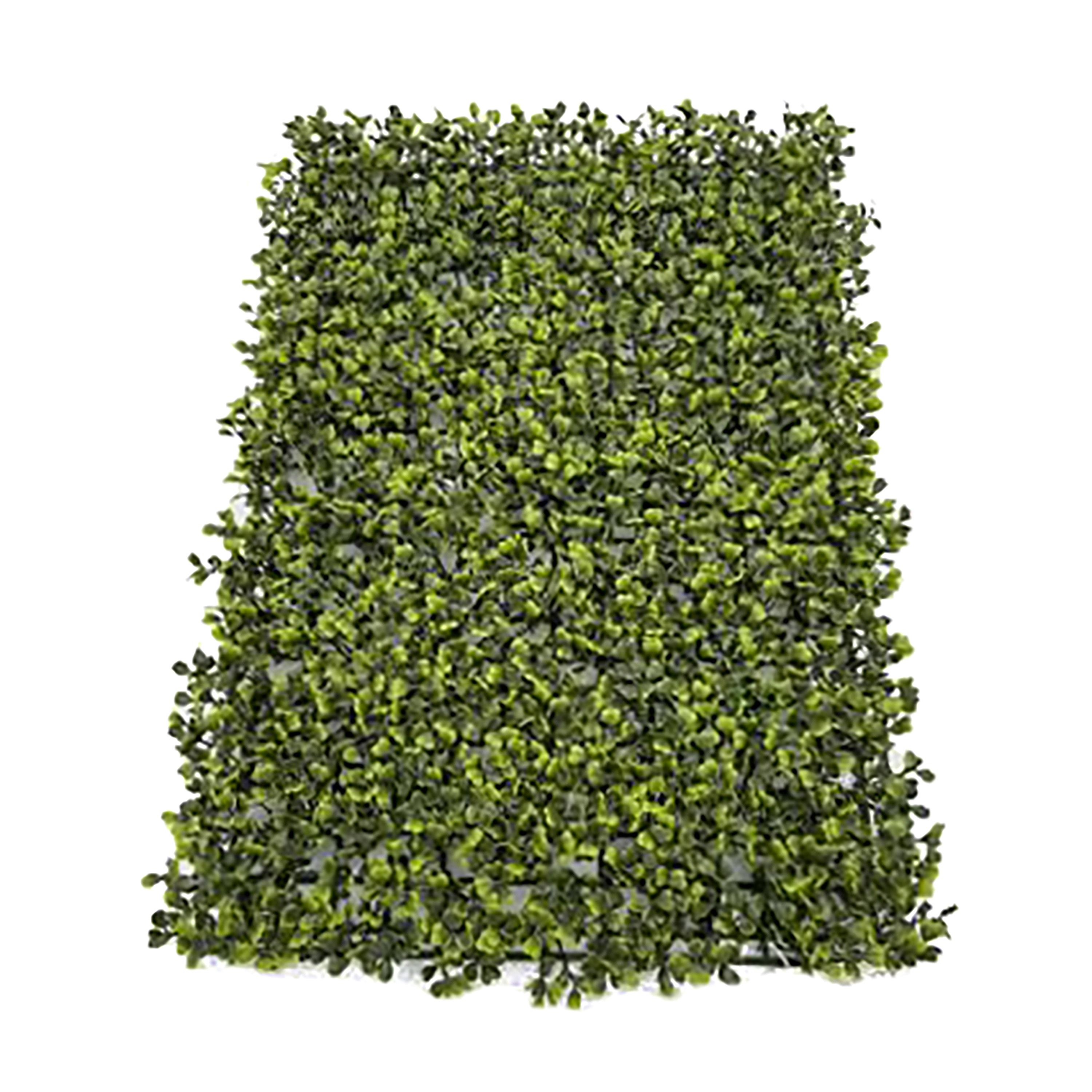 MATTONELLA 40X60 CM DICHONDRA