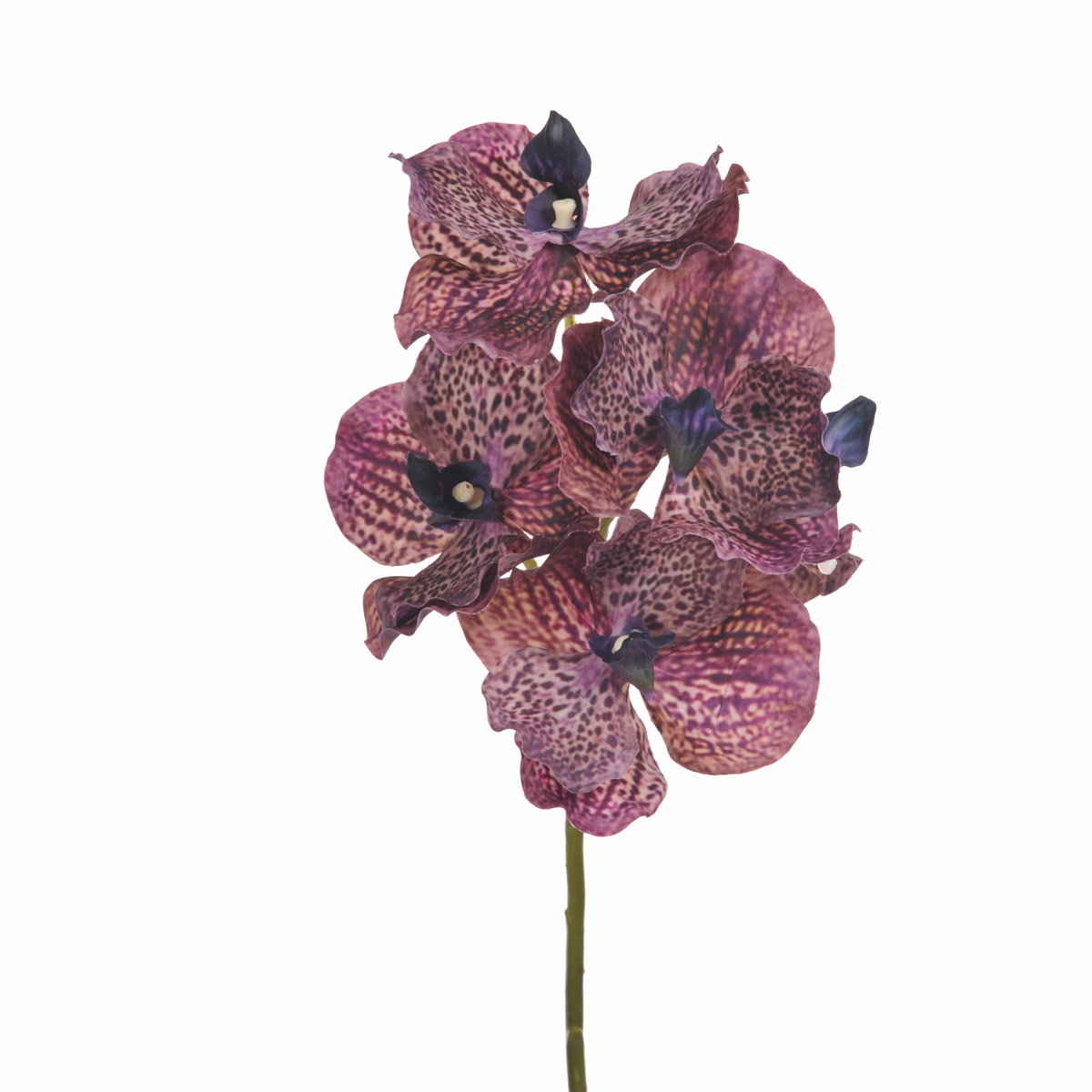 Kunstblumen, Orchidee, ORCHIDEA VANDA 62 CM