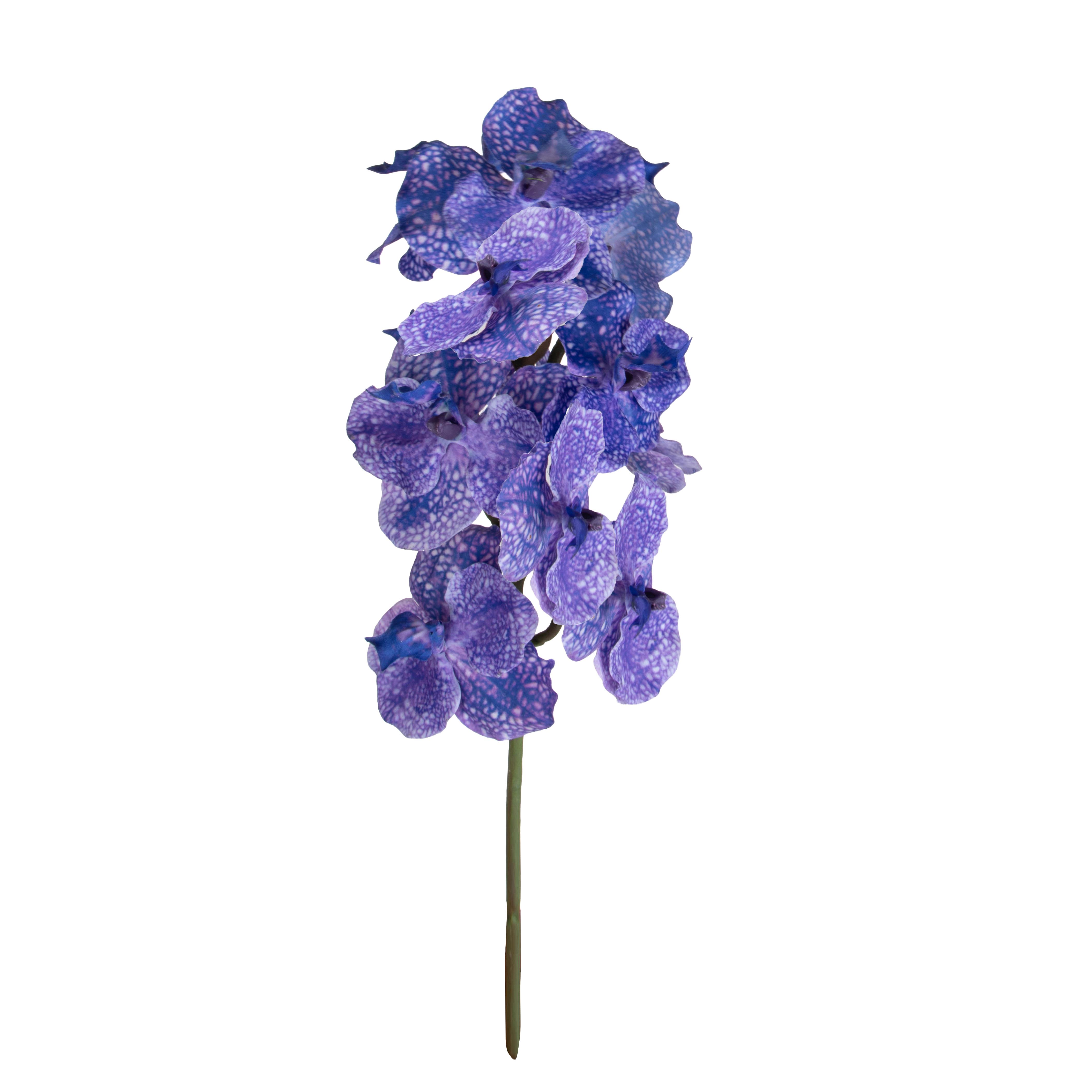 ORCHIDEA VANDA H.65 CM