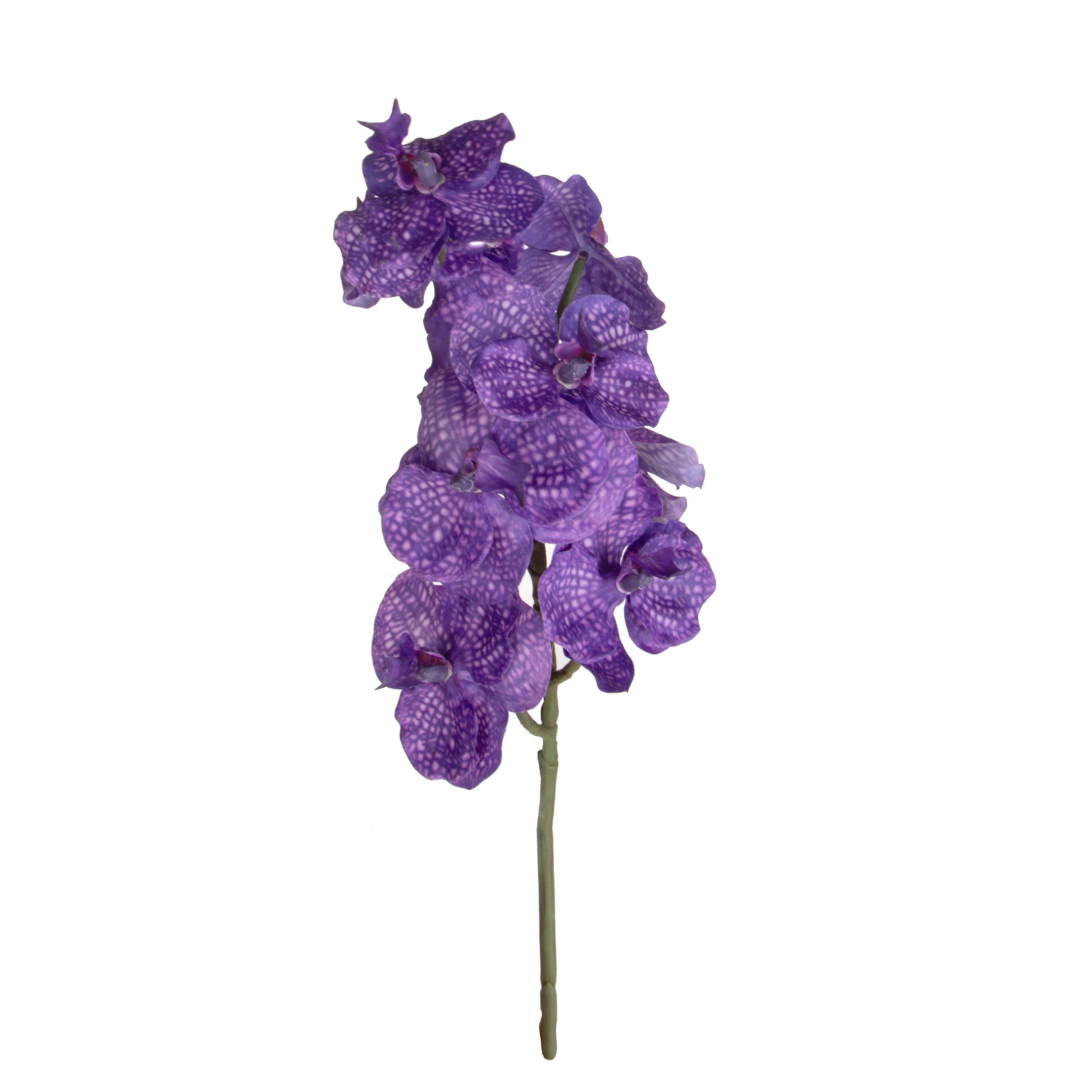 ORCHIDEA VANDA H.65 CM