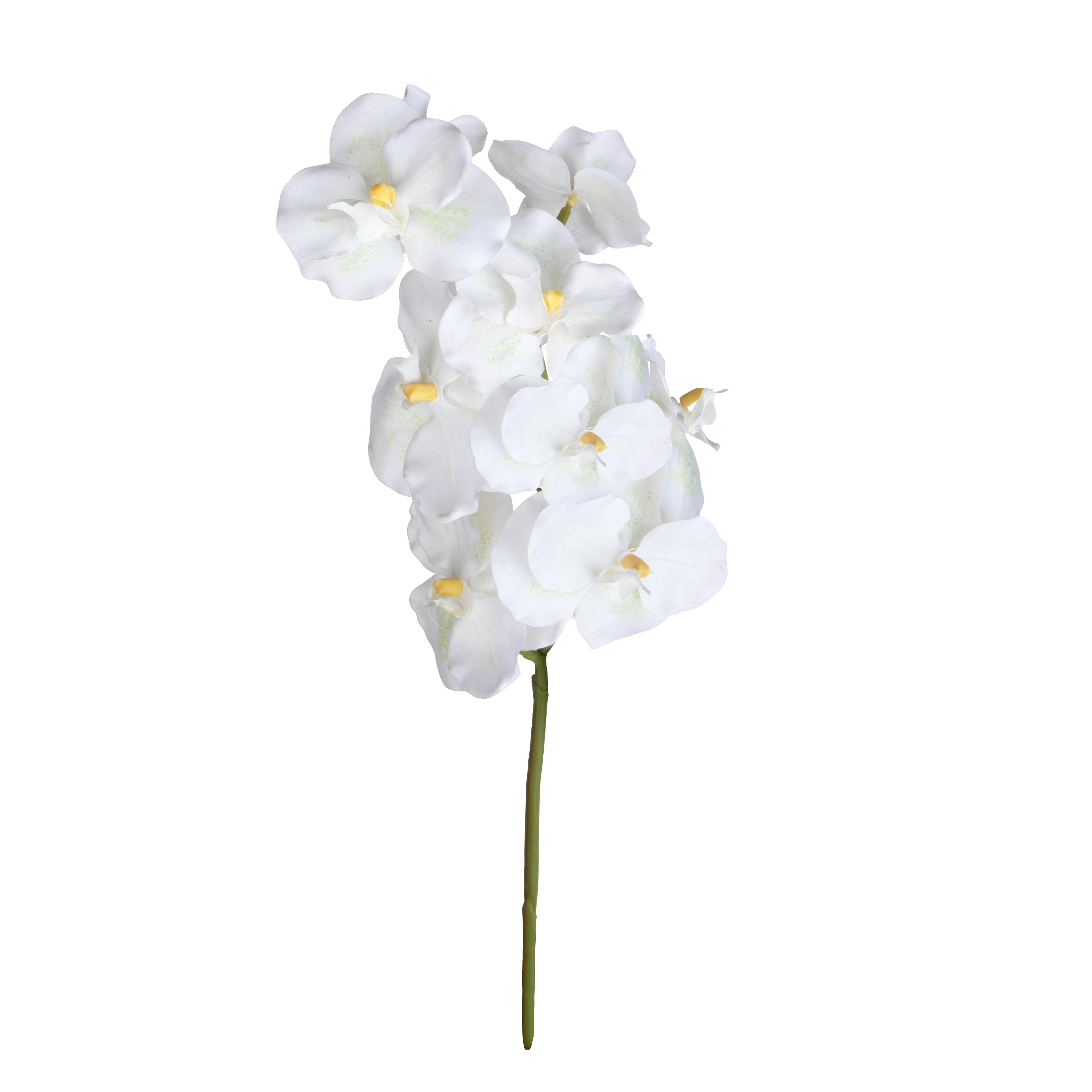 ORCHIDEA VANDA H.65 CM