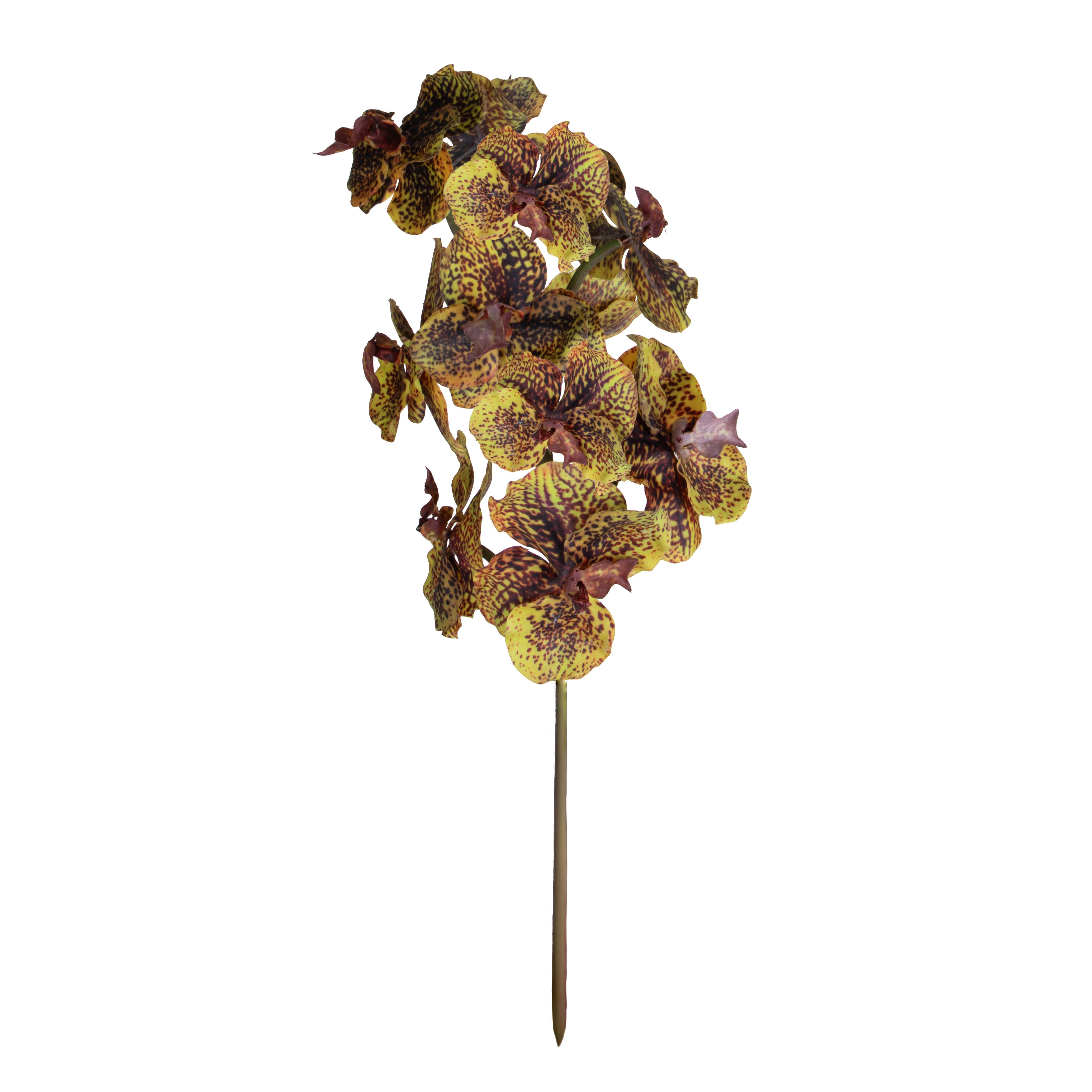 ORCHIDEA VANDA H.65 CM