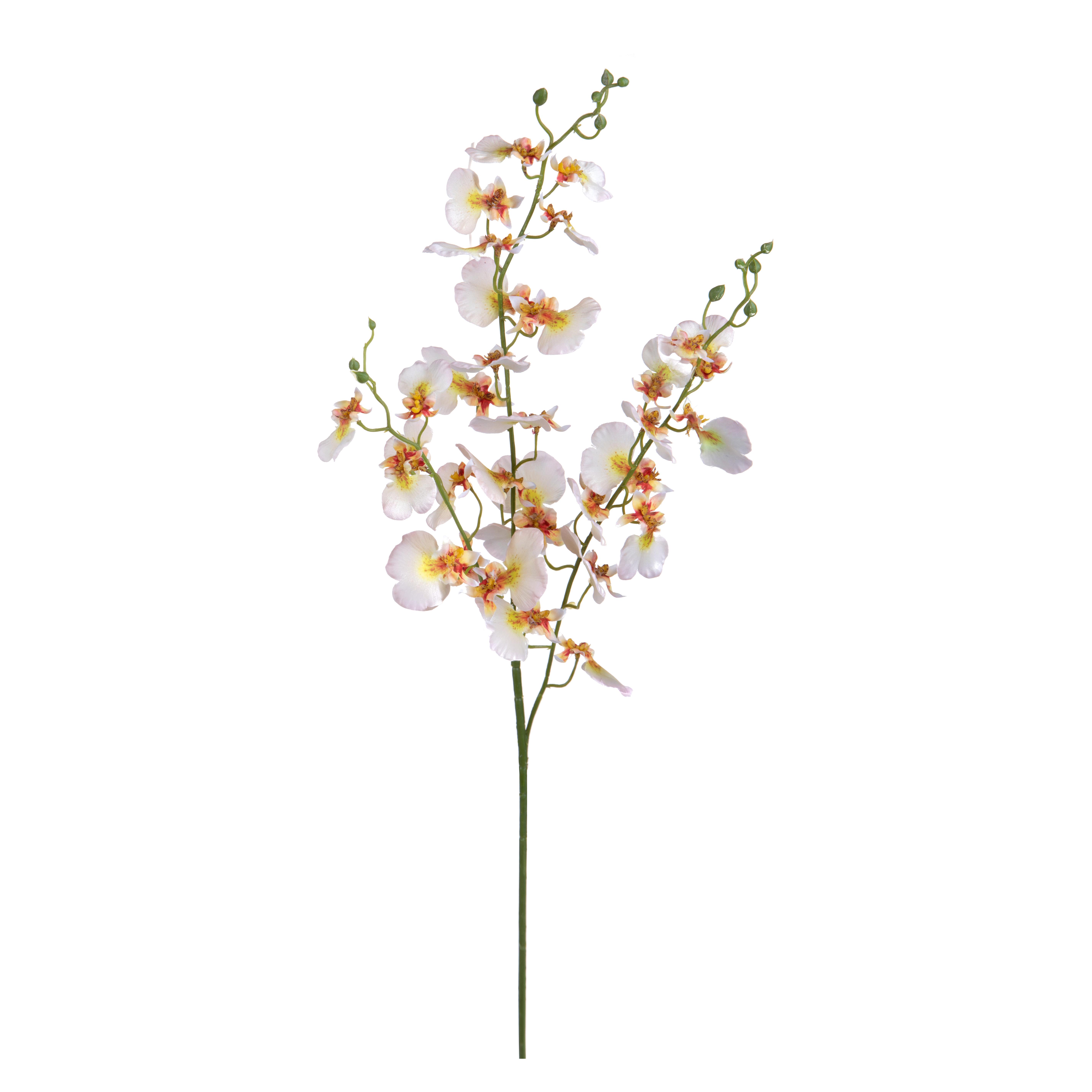 ORCHIDEA BALLERINA X 3 95 CM