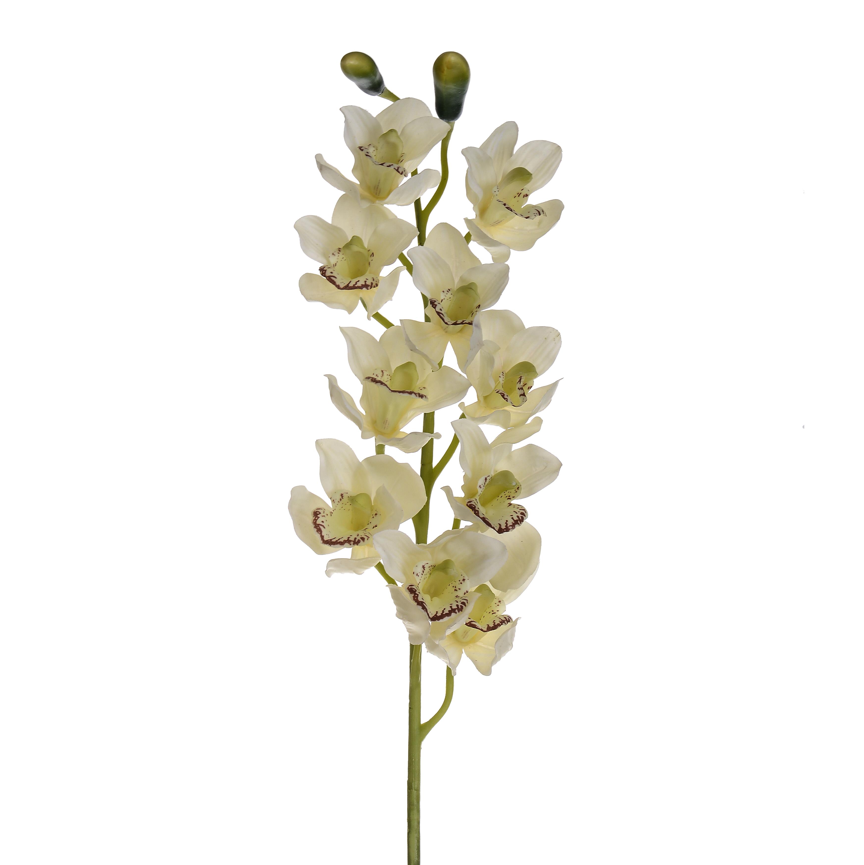 ORCH. CYMBIDIUM 78 CM REAL TOUCH