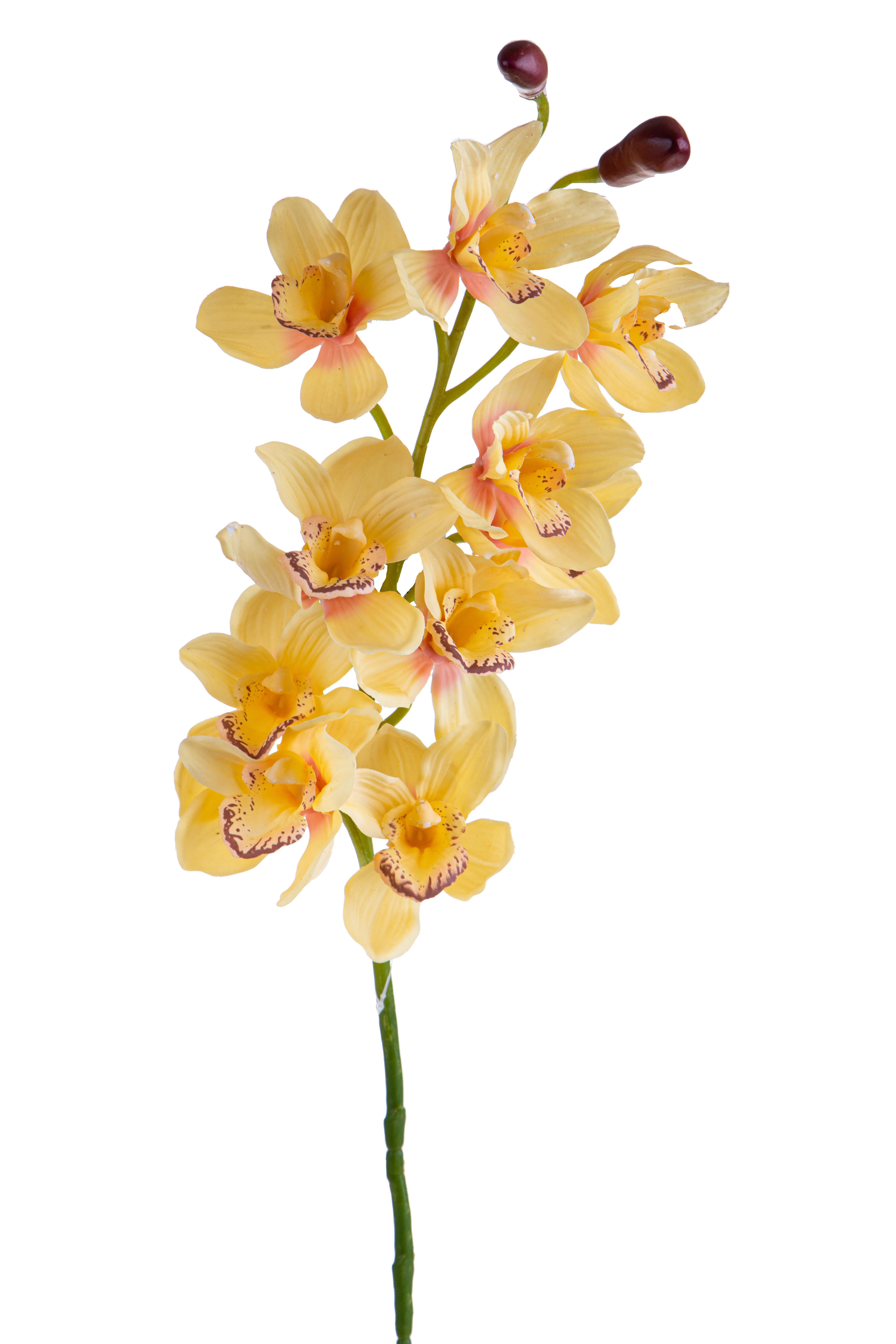 CYMBIDIUM X 10+2 92 CM REAL TOUCH