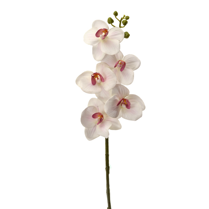 Fleurs artificielles, Orchidée, MINI PHALAENOPSIS 43 CM