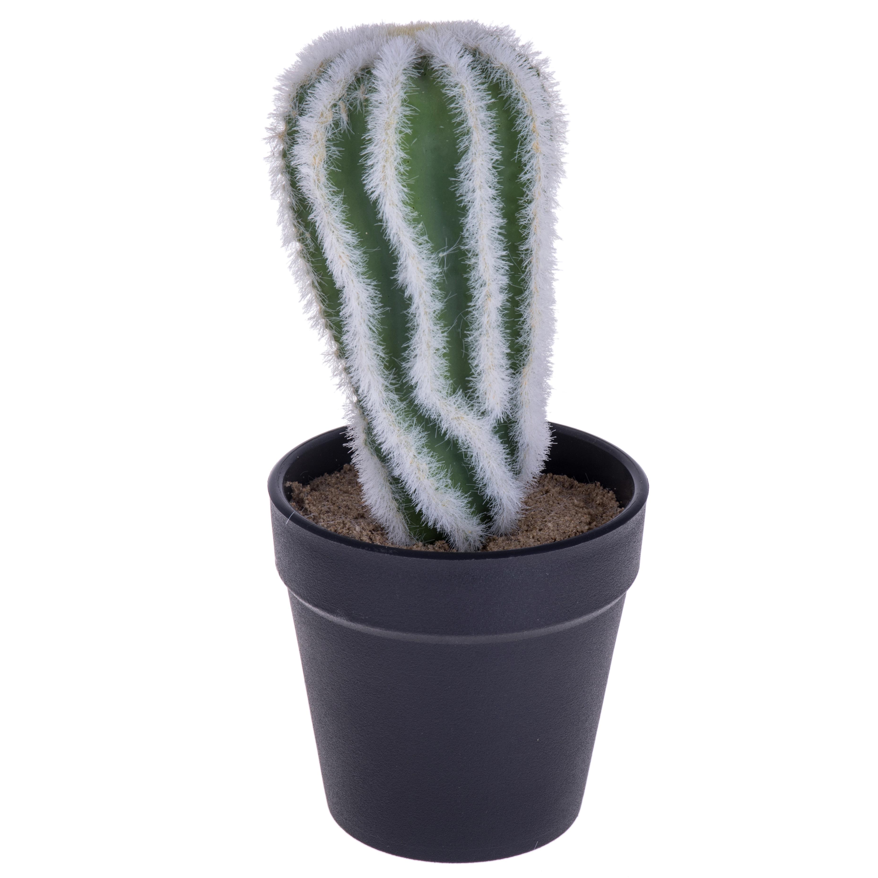 CACTUS C/VASO DM 9.5 H.20 CM