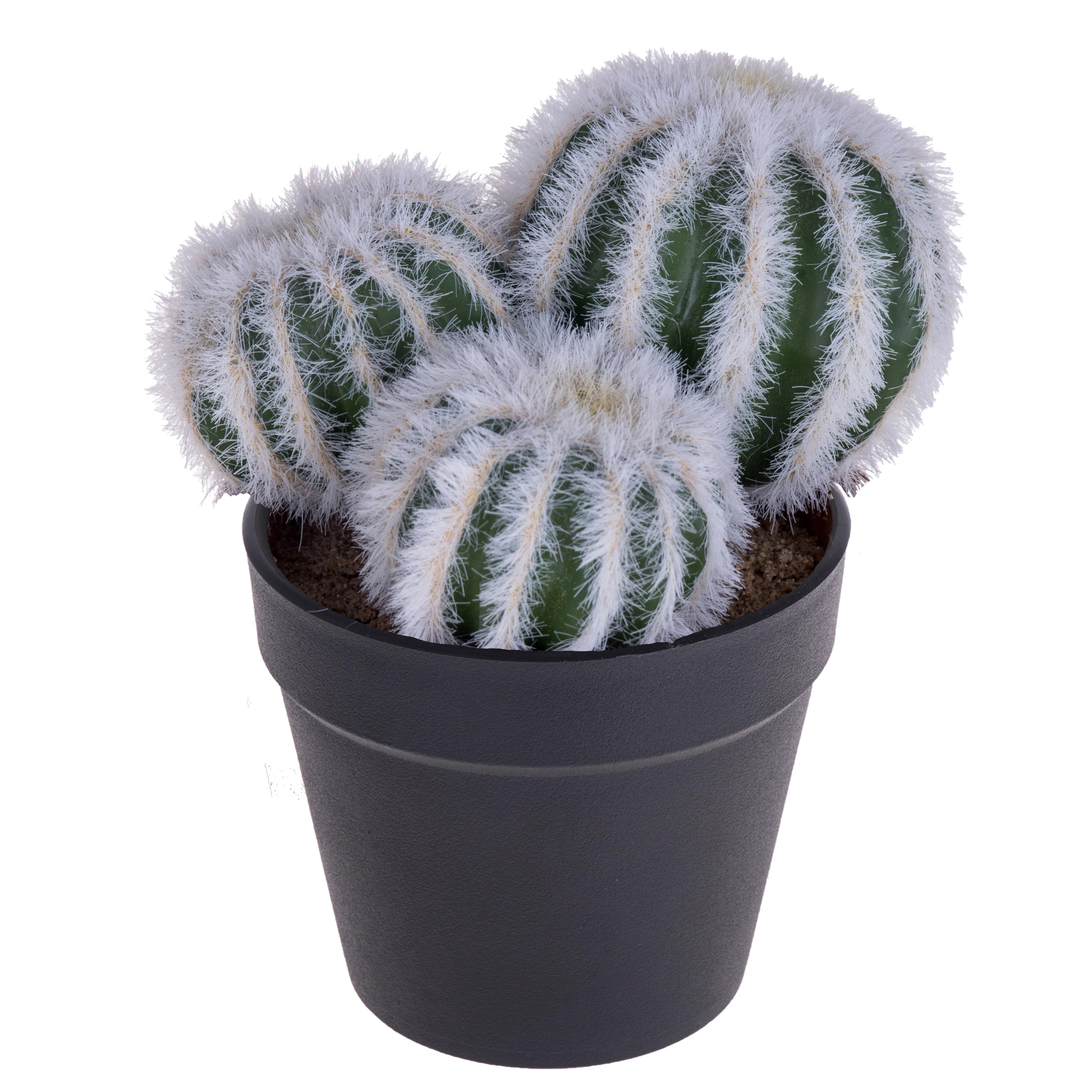CACTUS X 3 C/VASO DM 9 H.12 CM