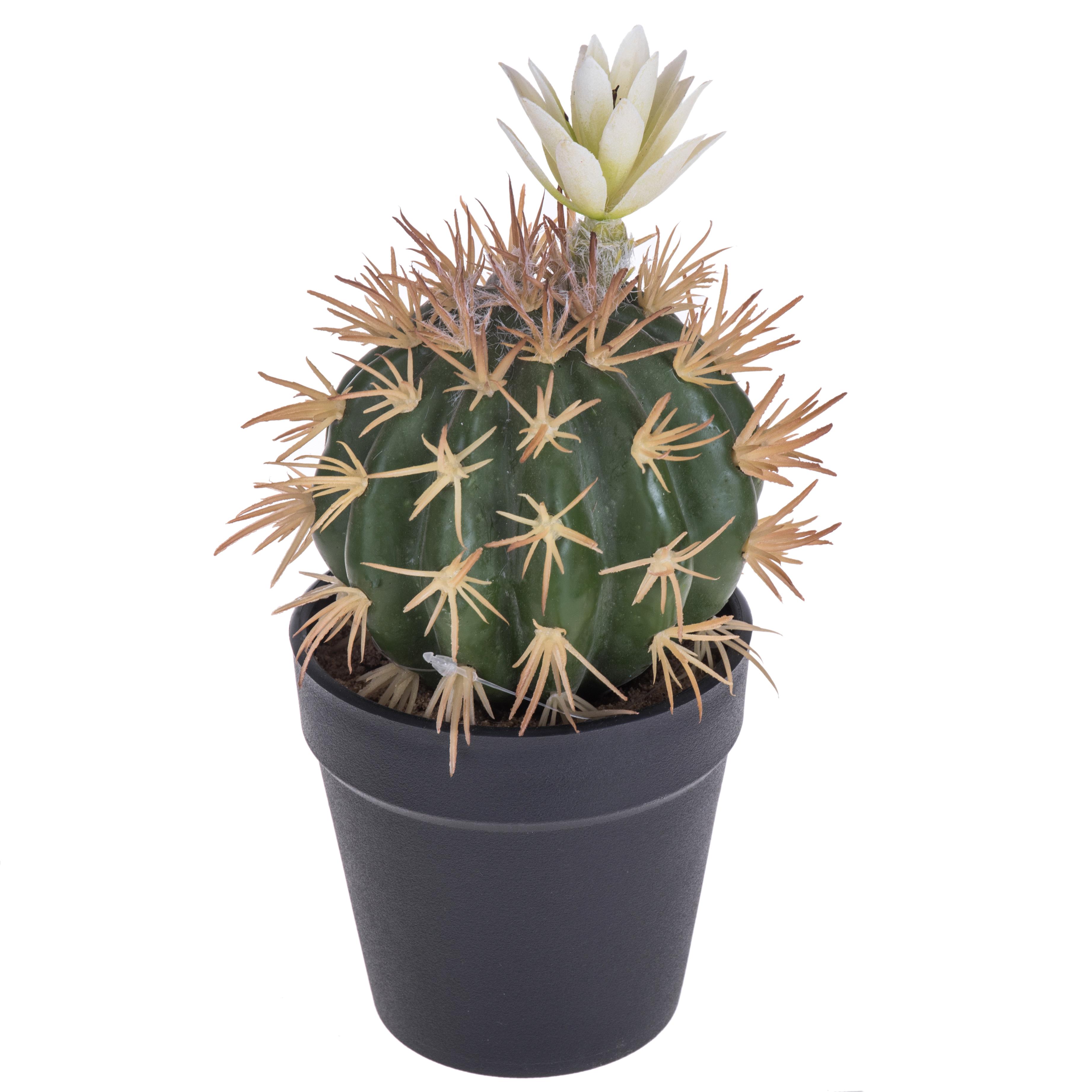 CACTUS C/FIORE C/VASO DM9.5 H.19 CM