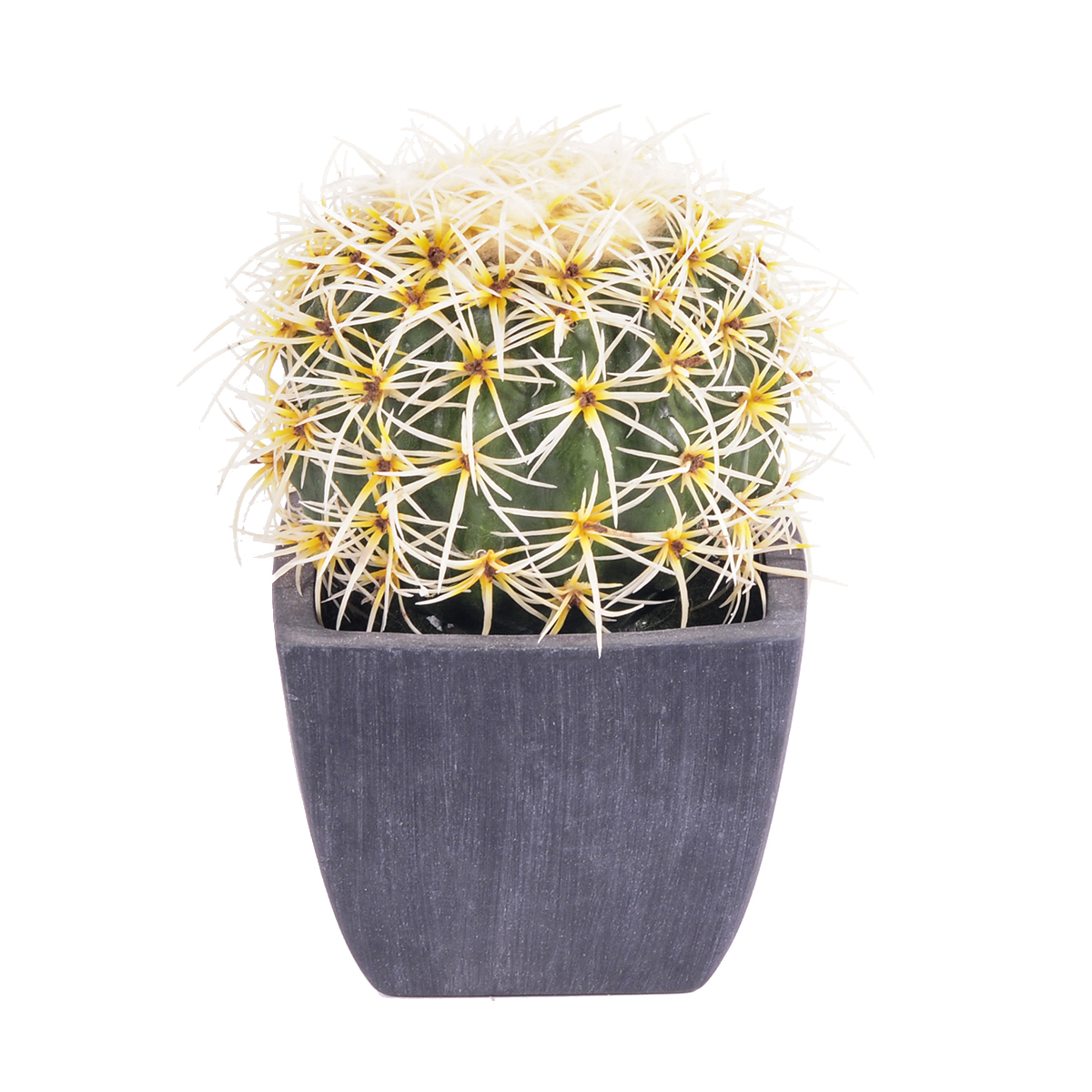 CACTUS C/VASO 18,5 CM