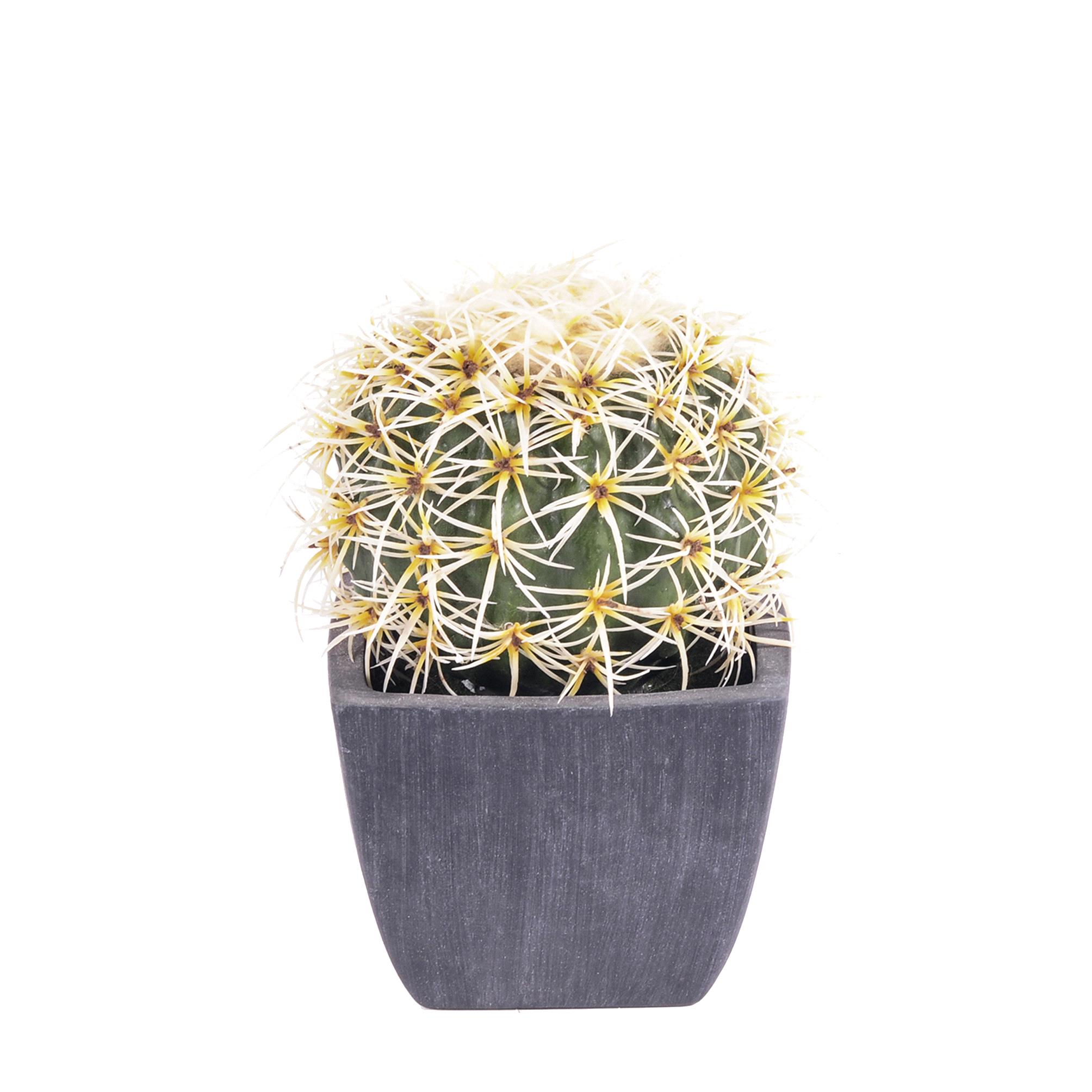CACTUS C/VASO 13,5CM