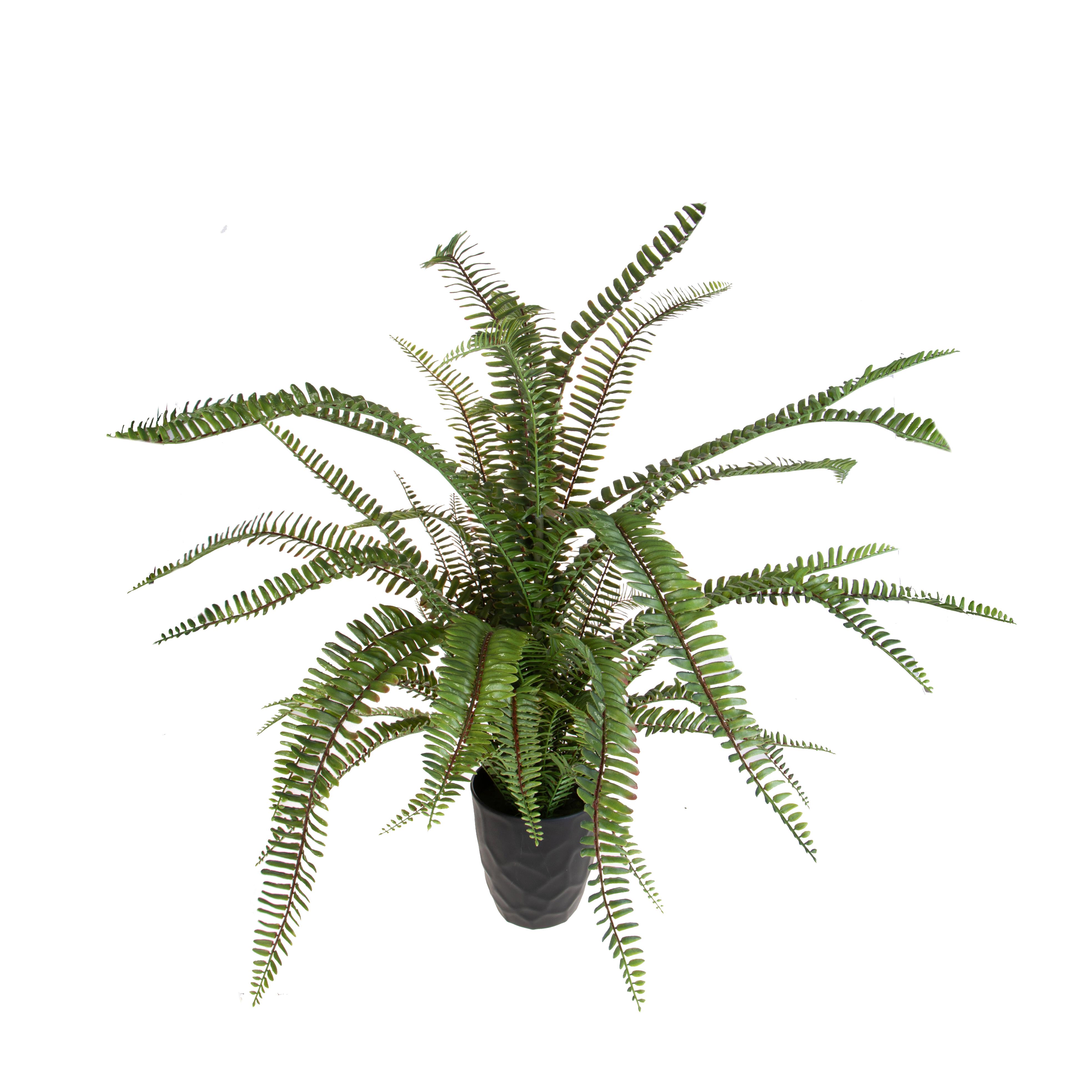 FELCE H.100 CM C/VASO