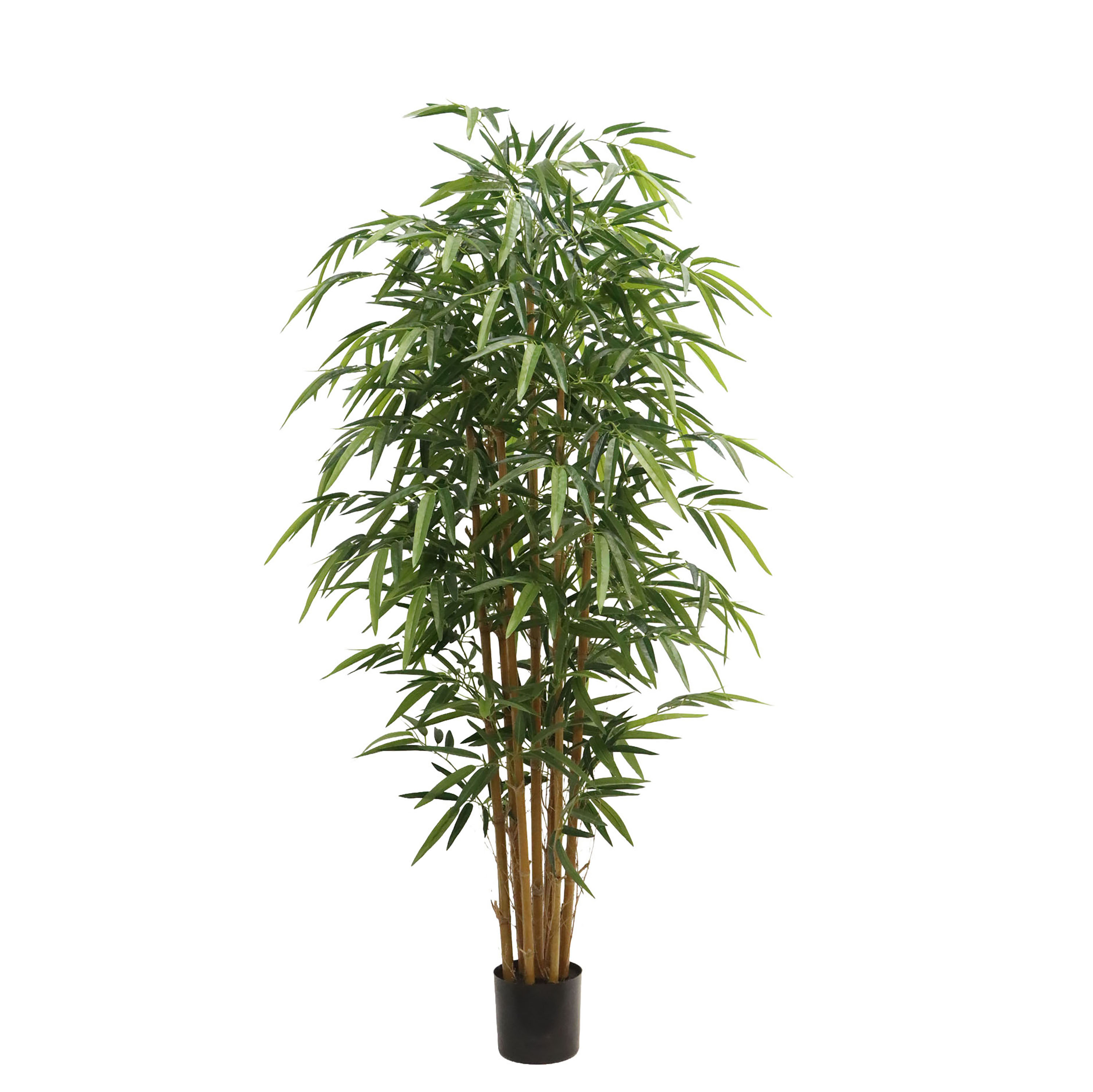 Plantes, Plantes grandes en pot, BAMBOO 180 CM C/VASO REAL TOUCH