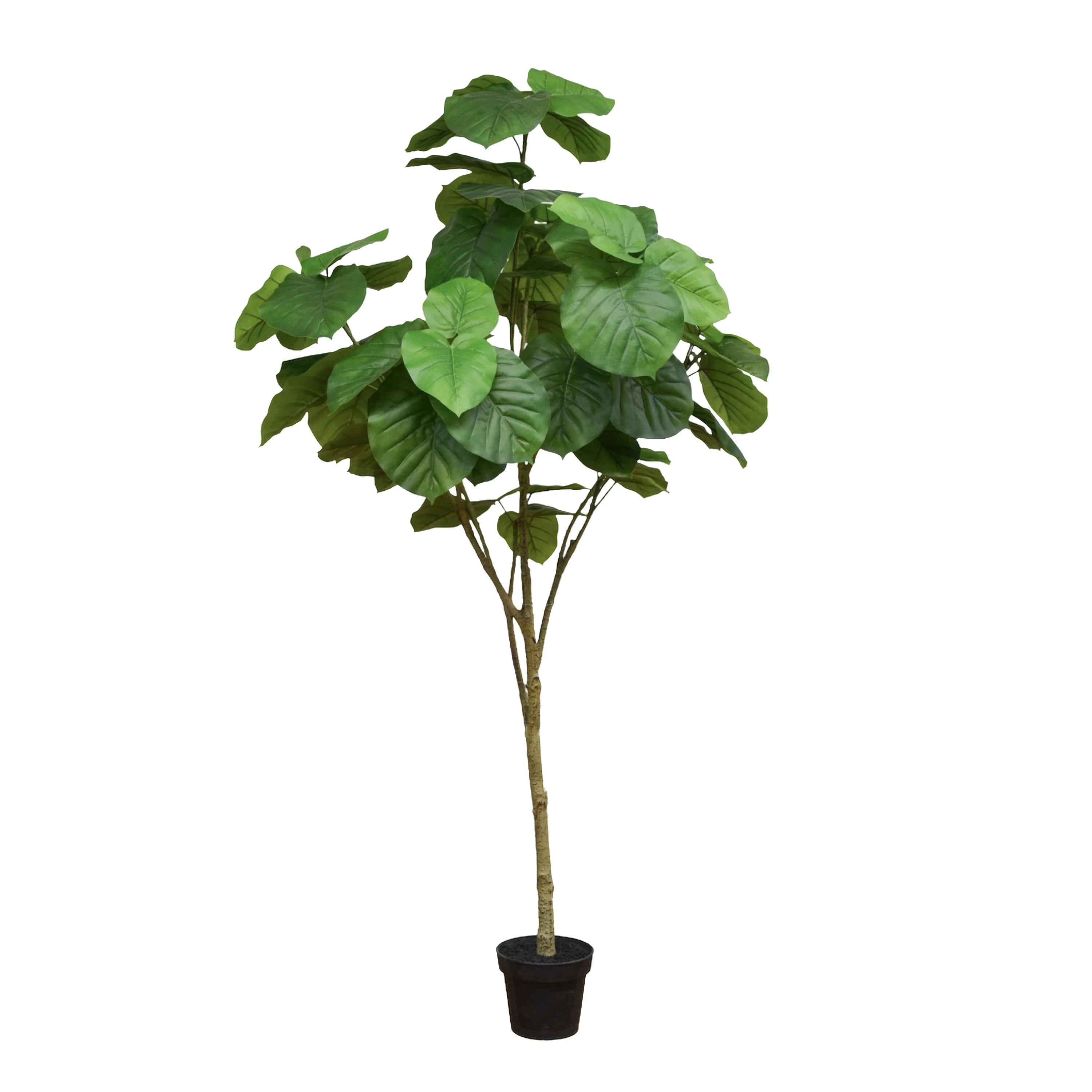 FICUS REAL TOUCH 200 CM 64 FGL C/VASO