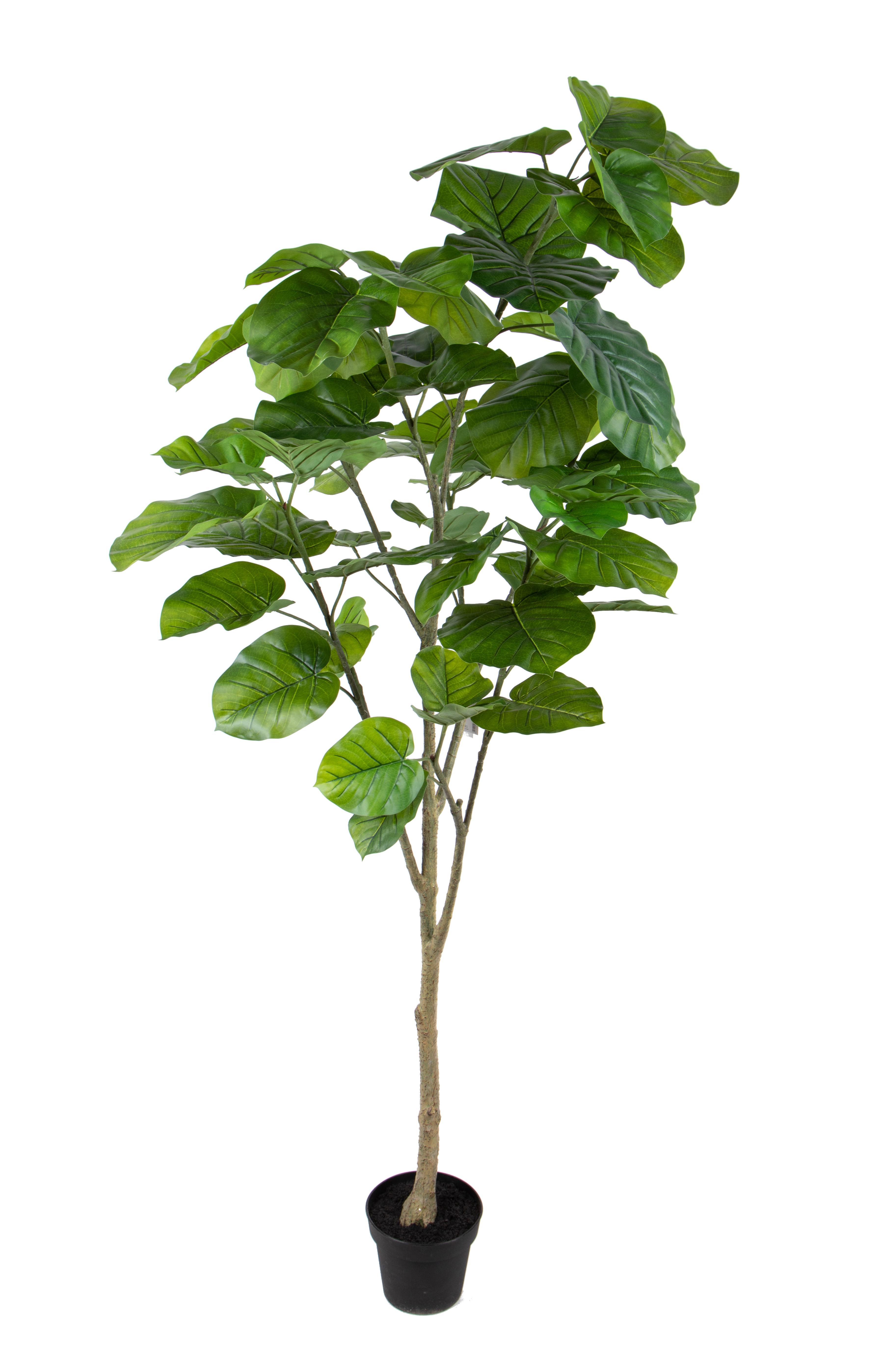 CHRISTMAS ITEMS,HANGING BALLS AND DECORATIONS IN WOOD,FICUS REAL TOUCH 200 CM 64 FGL C/VASO