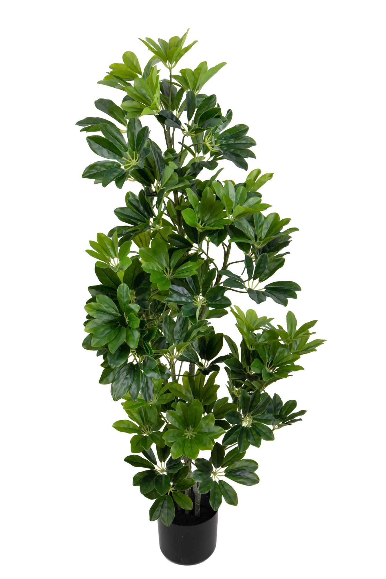 REAL TOUCH SCHEFFLERA 115 CM C/VASO