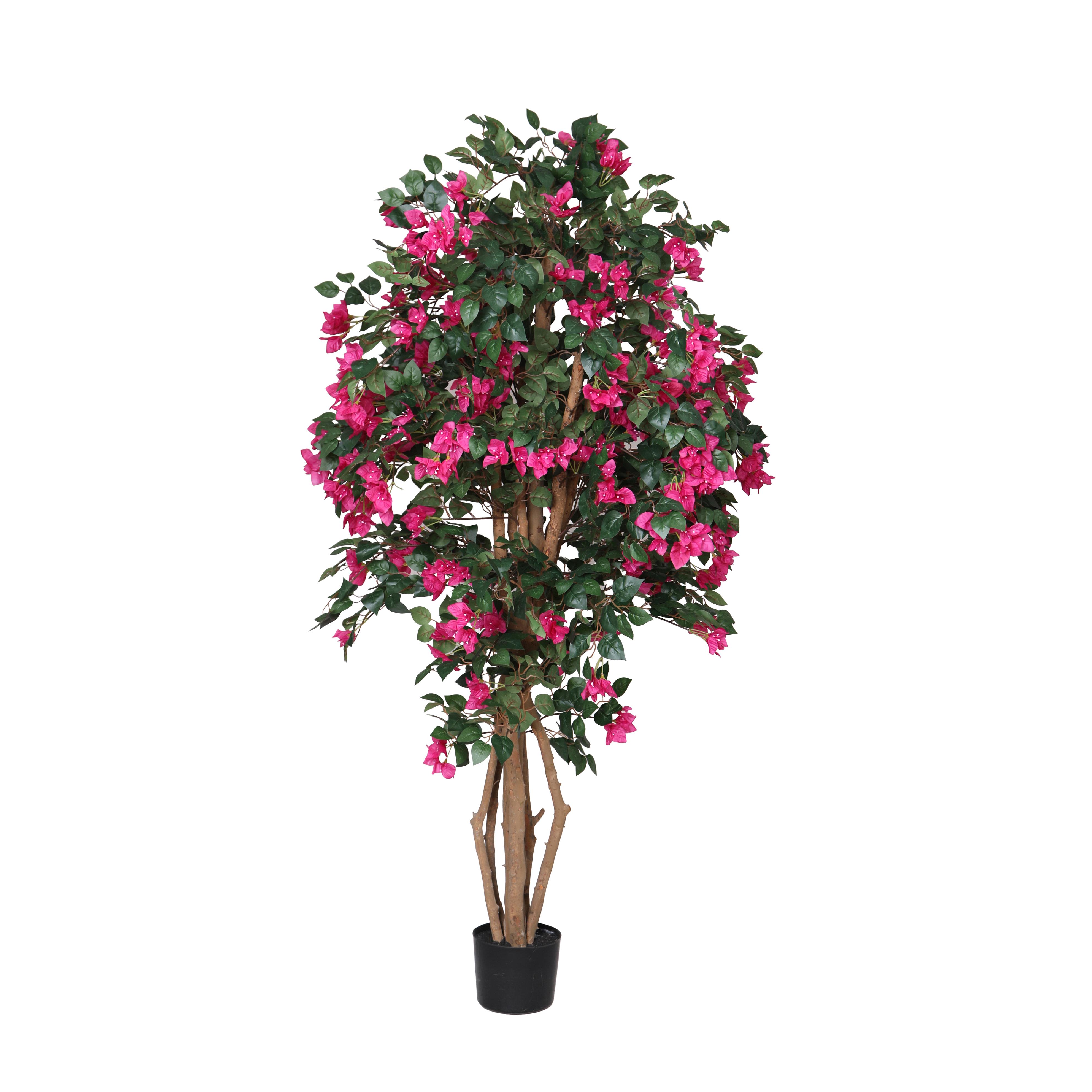 BOUGANVILLEA 1680 FGL 180 CM C/VASO