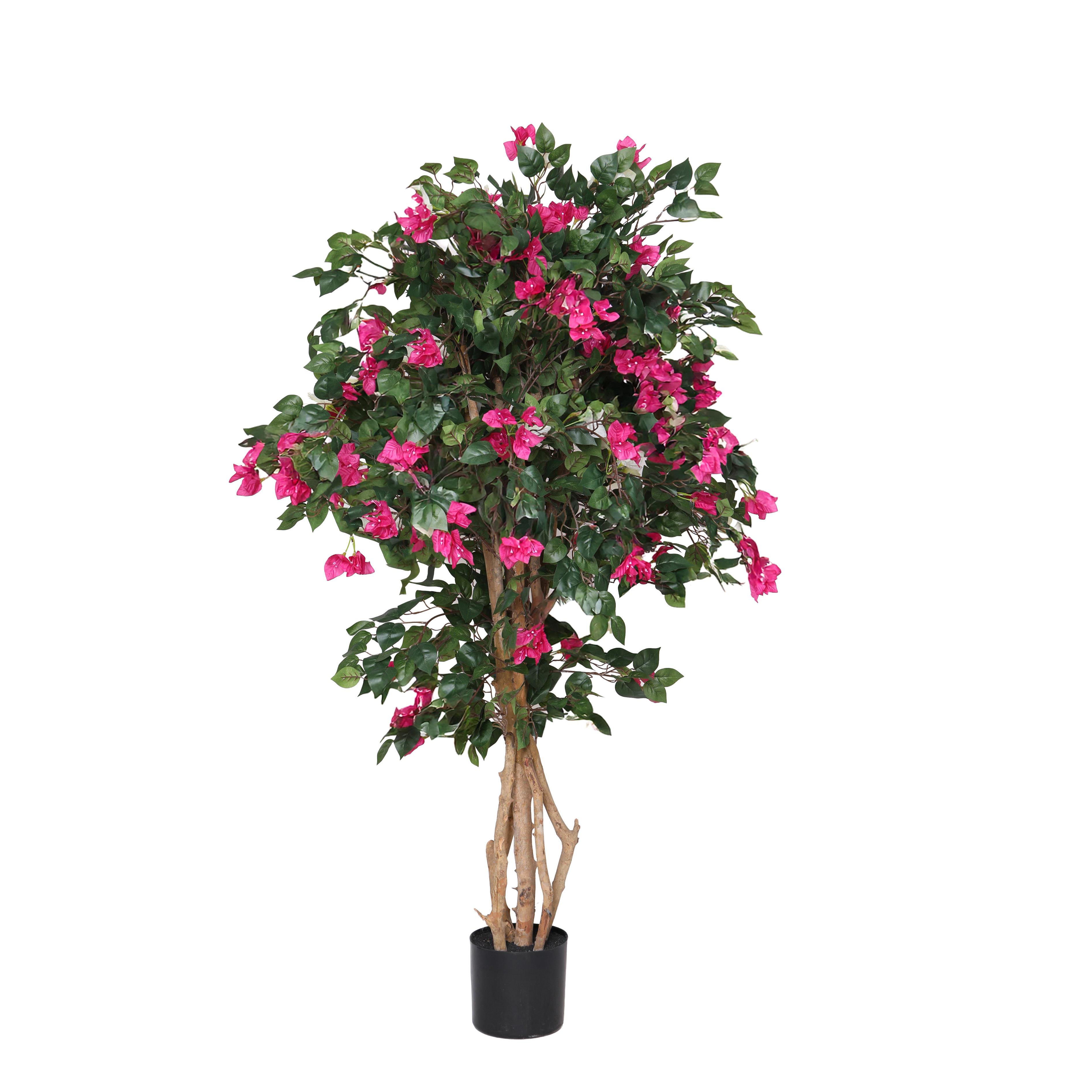 BOUGANVILLEA 1680 FGL 150 CM C/VASO