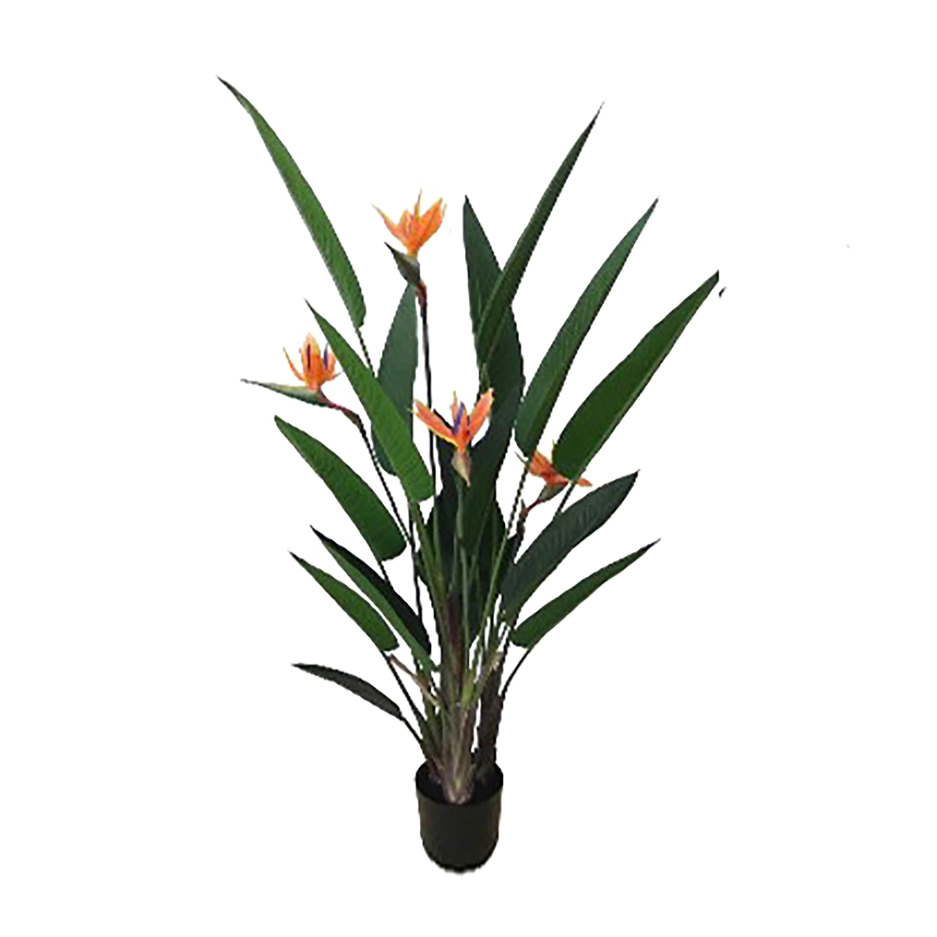 STERLIZIA 180 CM C/VASO