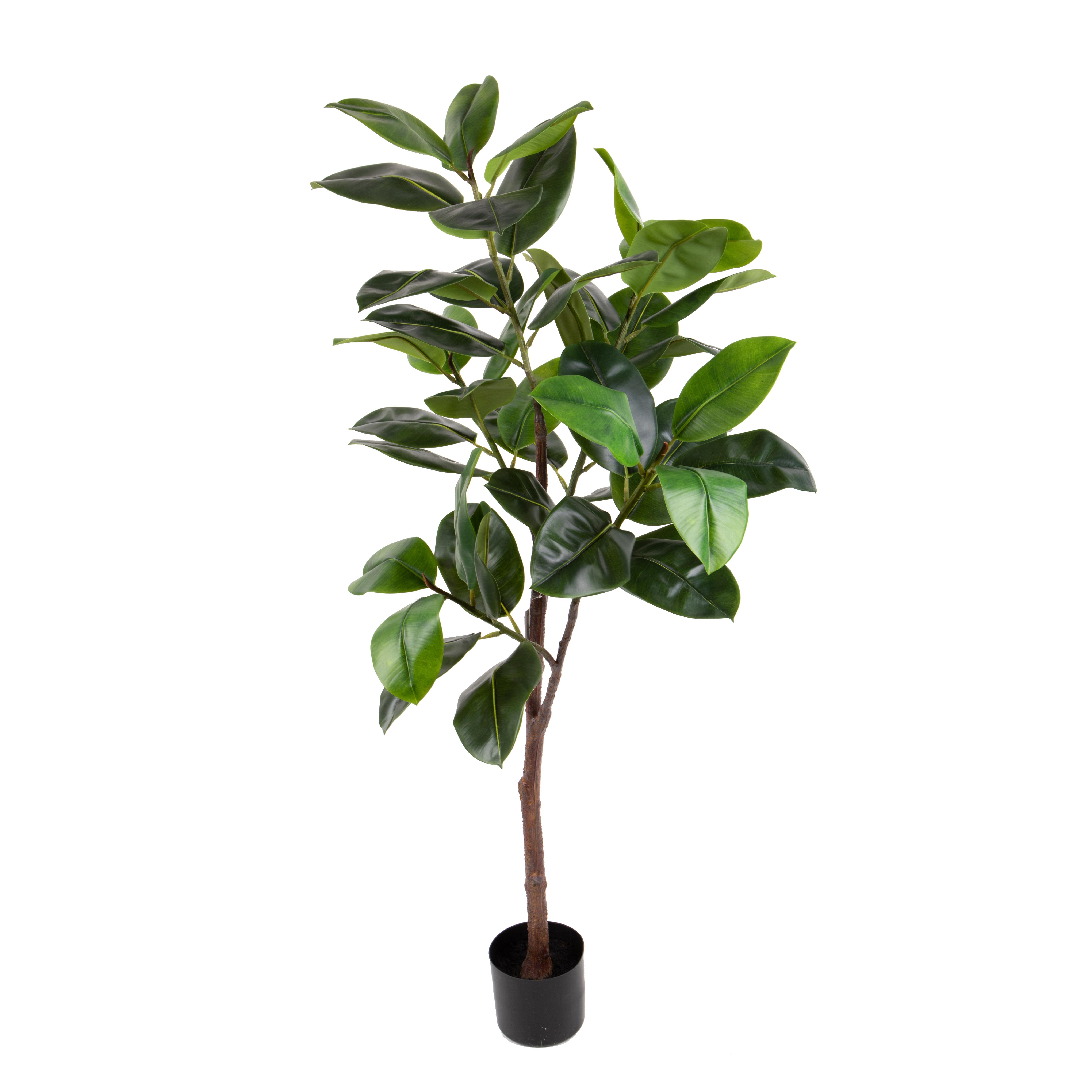 BALATA REAL TOUCH 150 CM  45 F. C/VASO