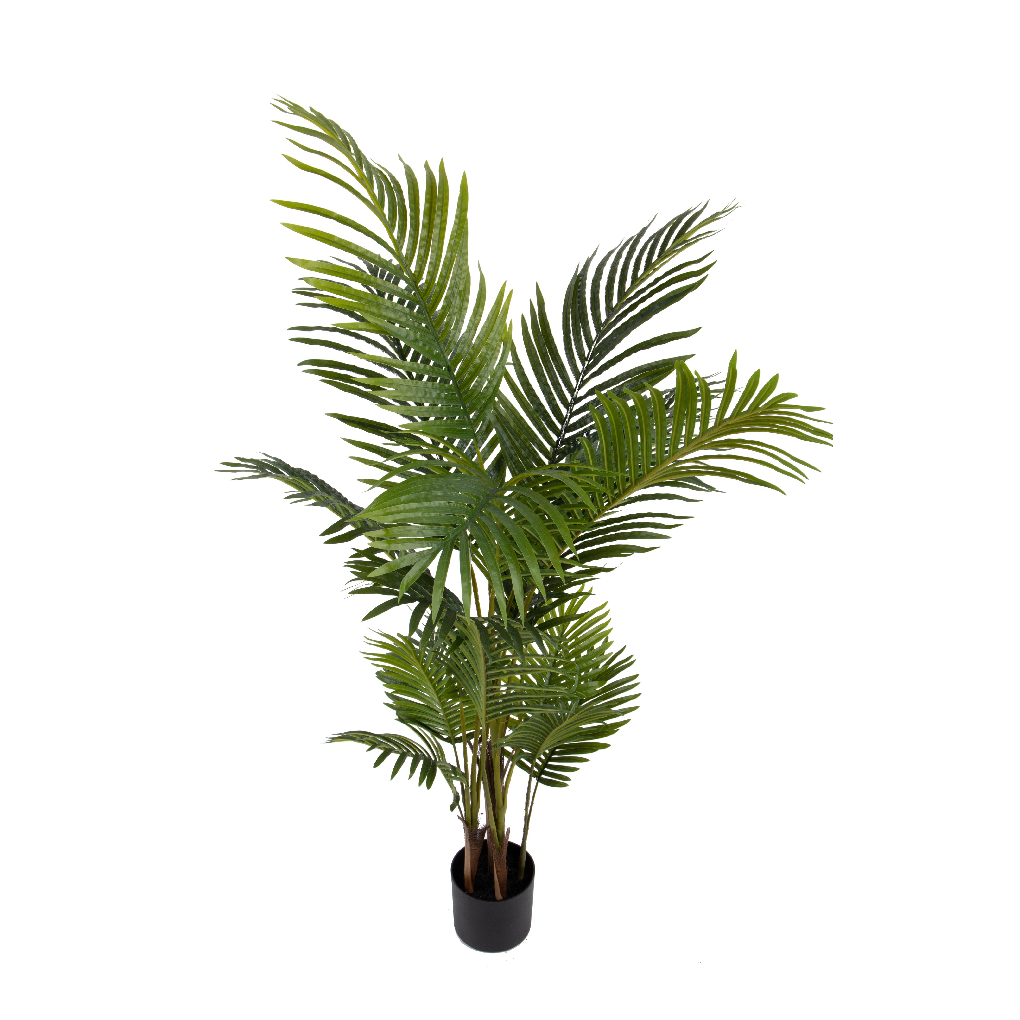 ARECA X 5 REAL TOUCH 145 CM C/VASO