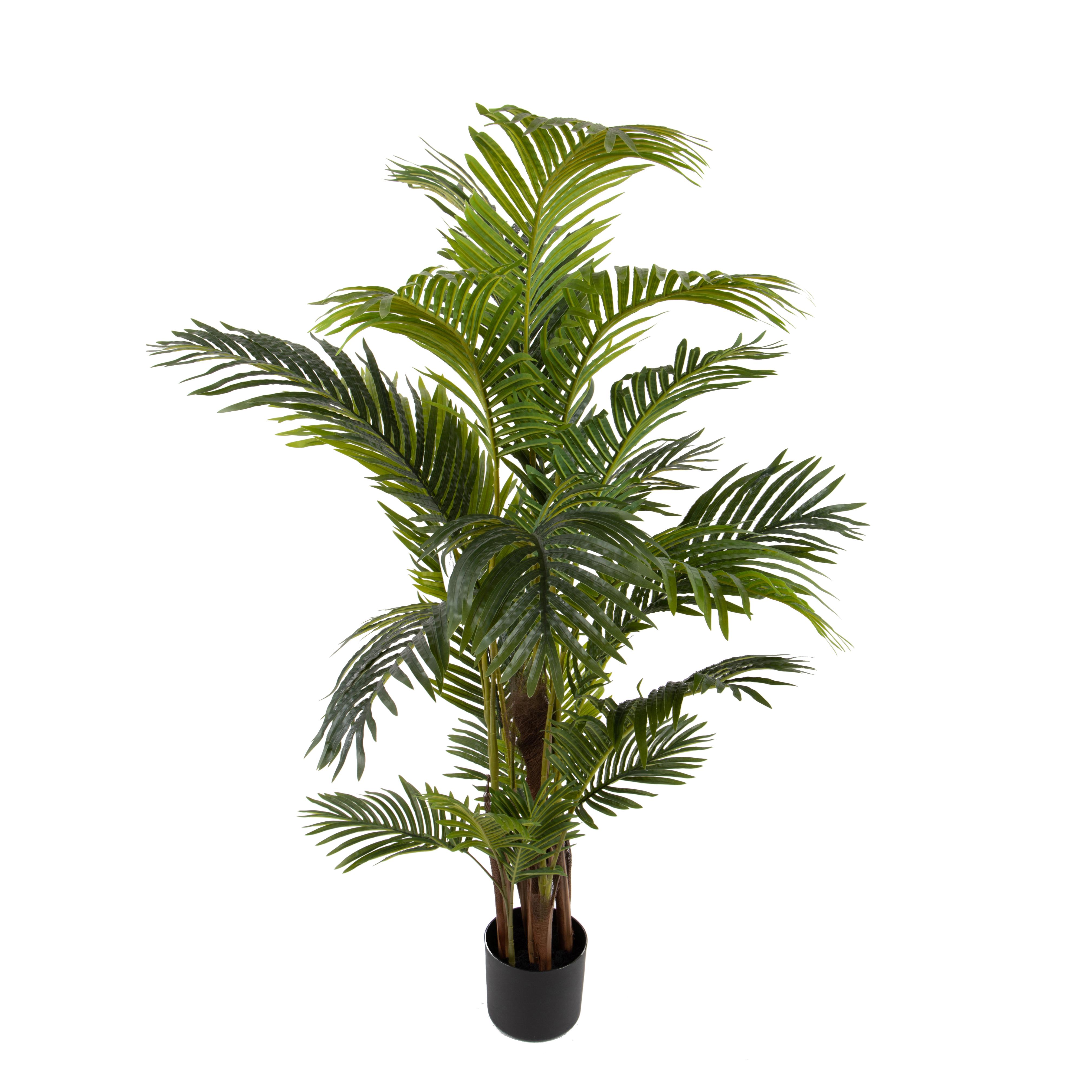 ARECA X 7 REAL TOUCH 170 CM C/VASO