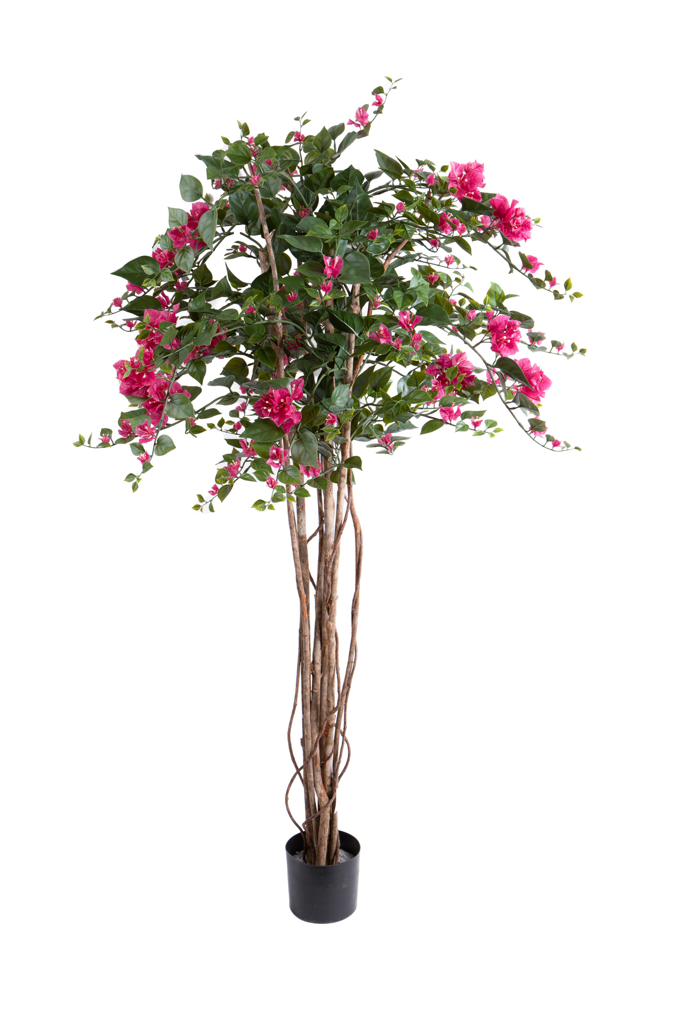 BOUGANVILLE 152 CM 252 FIORI C/VASO